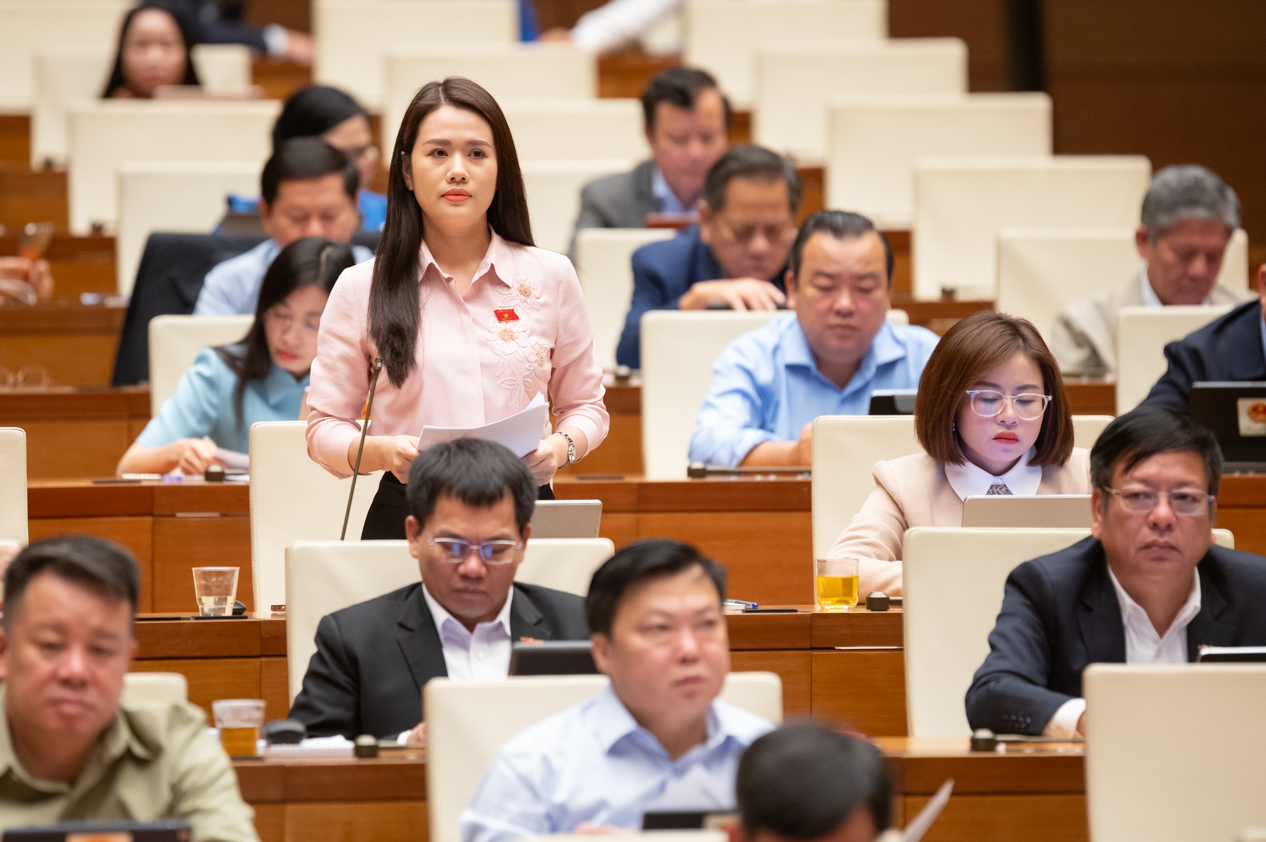 ĐBQH Vương Thị Hương (Tuyên Quang)