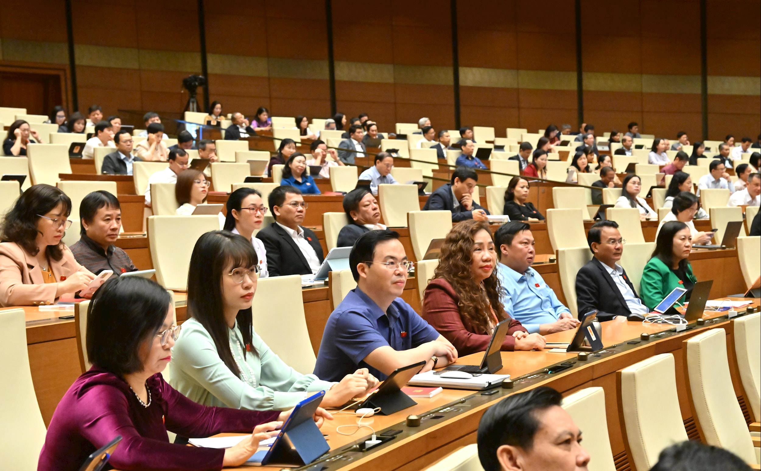 Các đại biểu tại phiên họpVQK_1189