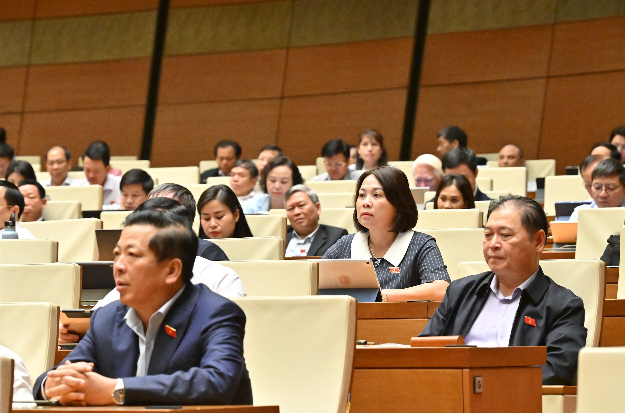 Các đại biểu tại phiên họpVQK_1215