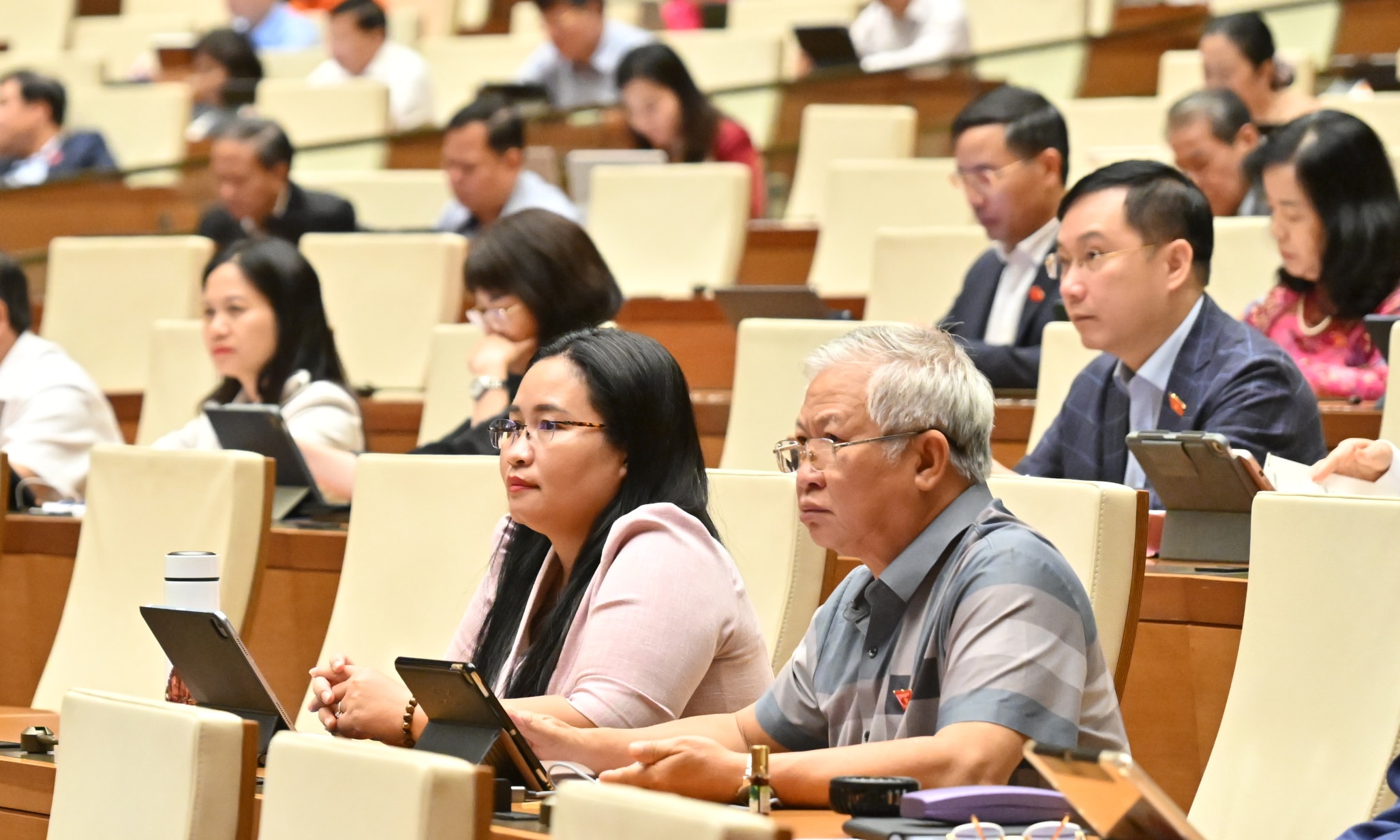 Các đại biểu tại phiên họpVQK_1418