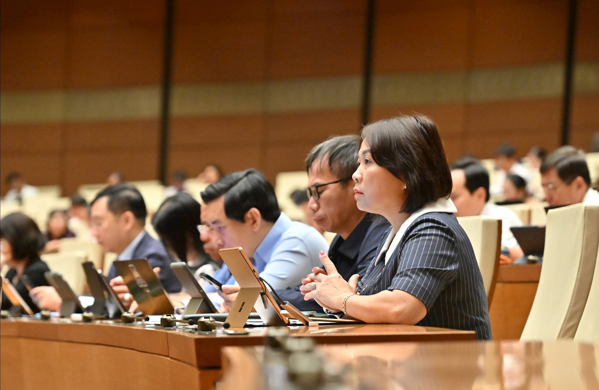 Các đại biểu tại phiên họpVQK_1433++