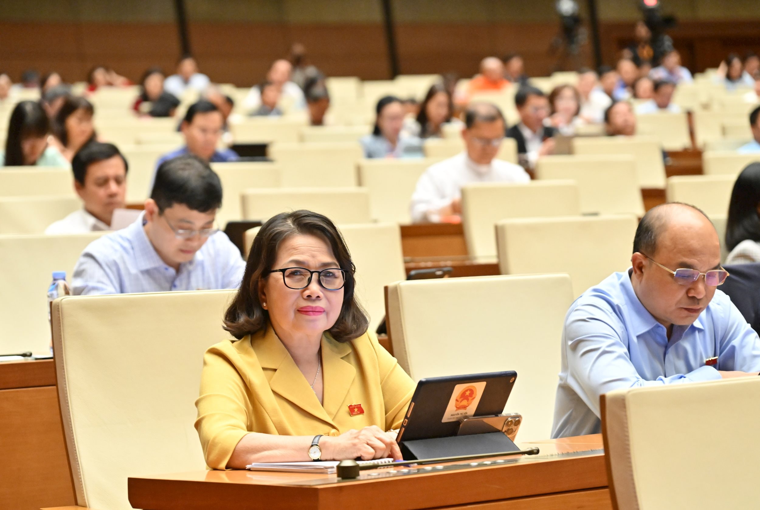 Các đại biểu tại phiên họpVQK_1541