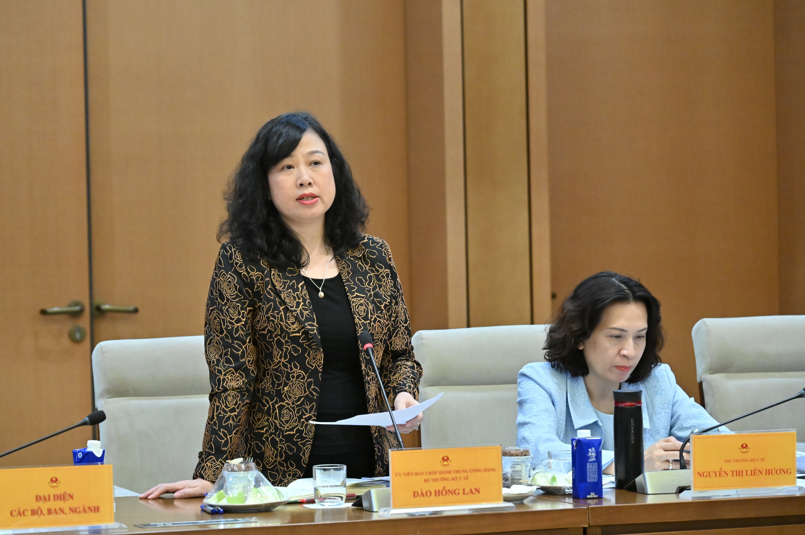 Ministr zdravotnictví Dao Hong LanVQK_2573