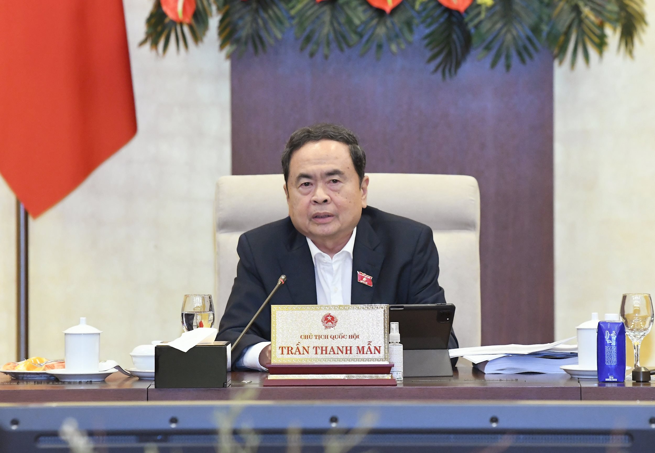 Виступає голова Національних зборів Чан Тхань Ман.