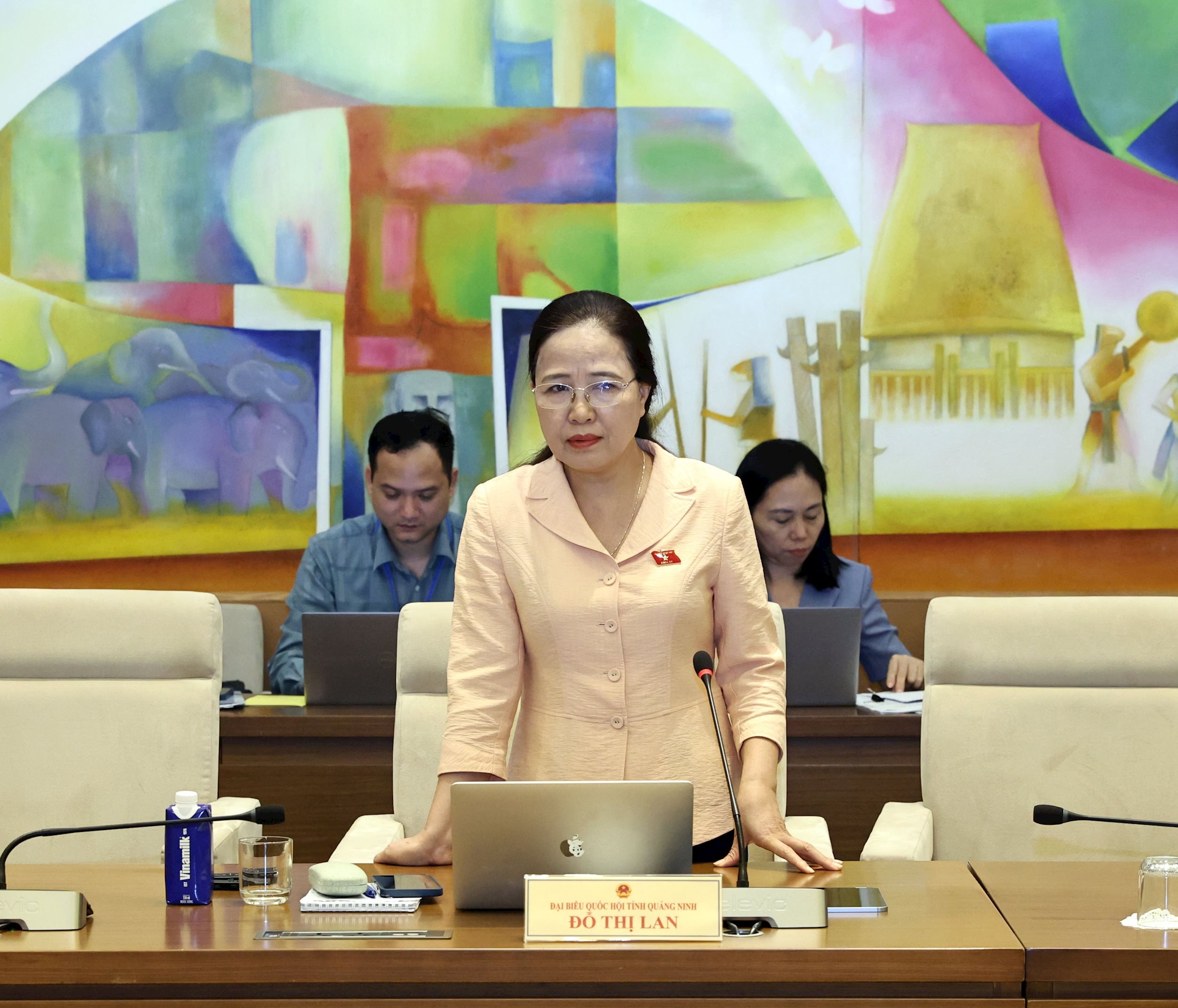 Delegát Národního shromáždění Do Thi Lan (Quang Ninh)