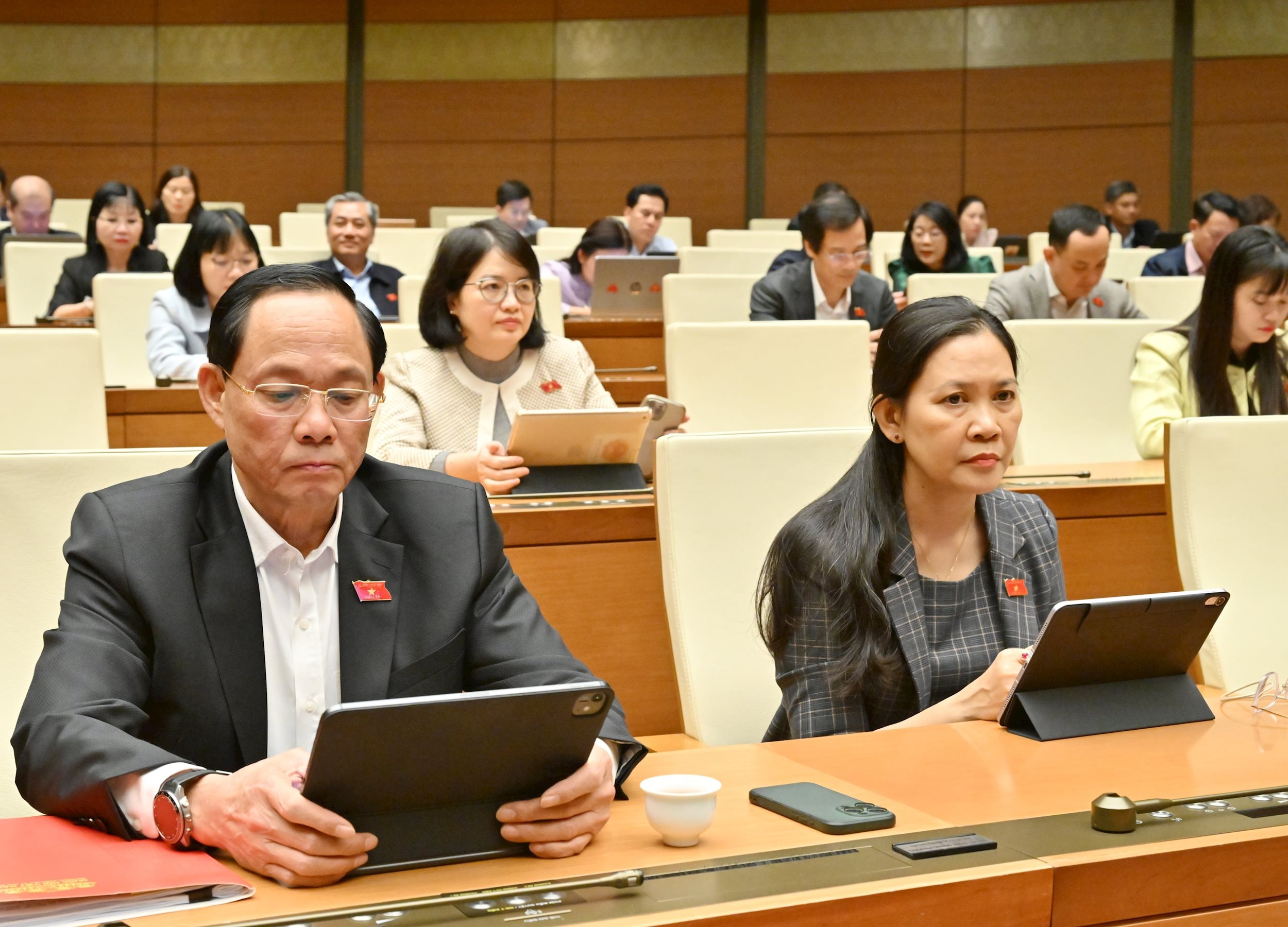 Các đại biểu tại phiên họpVQK_3553