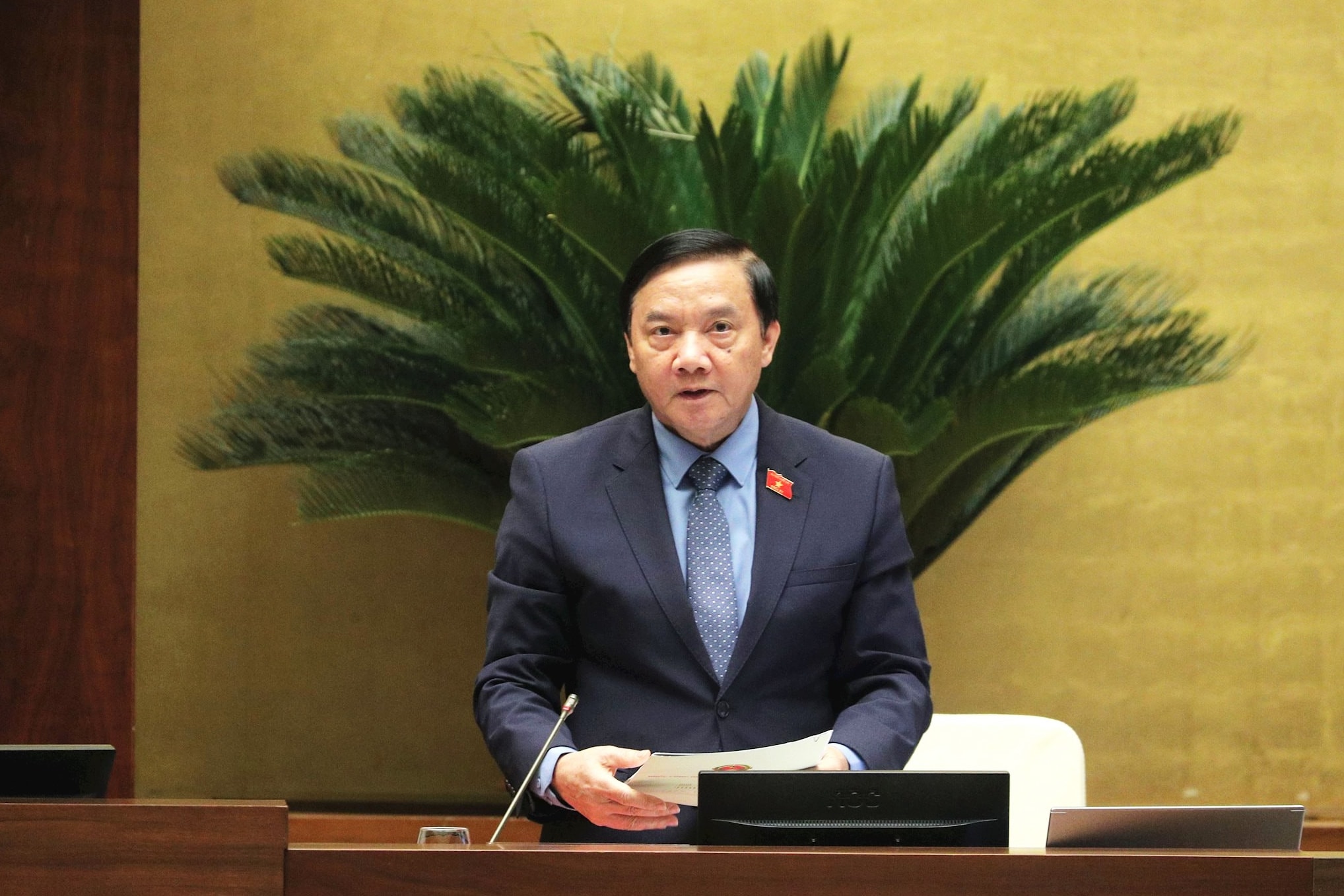 نایب رئیس مجلس ملی، نگوین خاچ دین، ریاست این جلسه را بر عهده داشت. عکس: هو لانگ