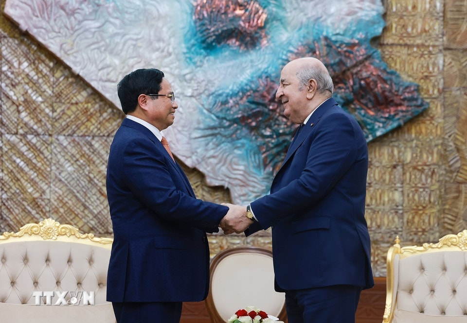 Thủ tướng Phạm Minh Chính hội kiến Tổng thống Algeria Abdelmadjid Tebboune. (Ảnh: Dương Giang/TTXVN)