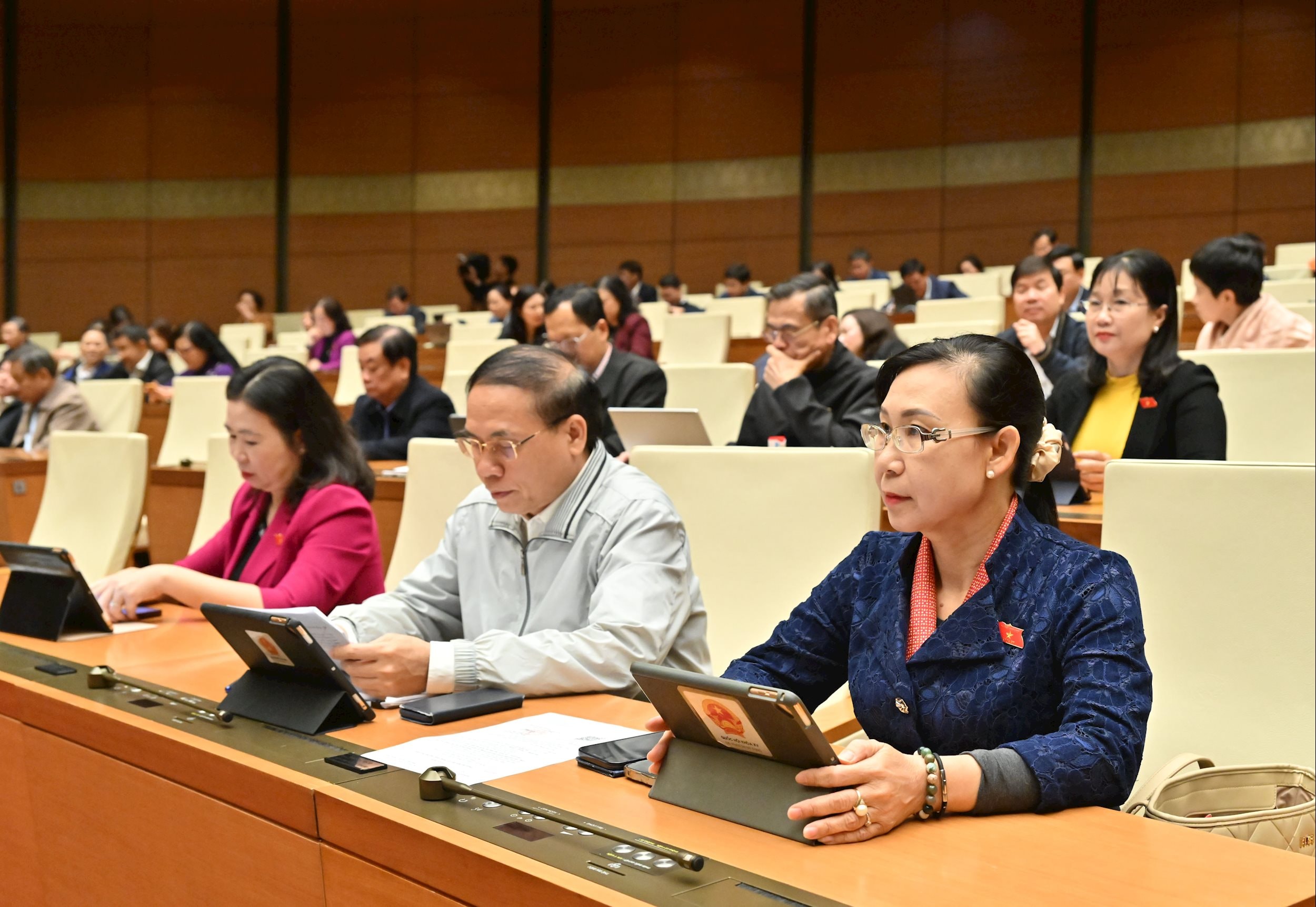 Các đại biểu tại phiên họpVQK_4028