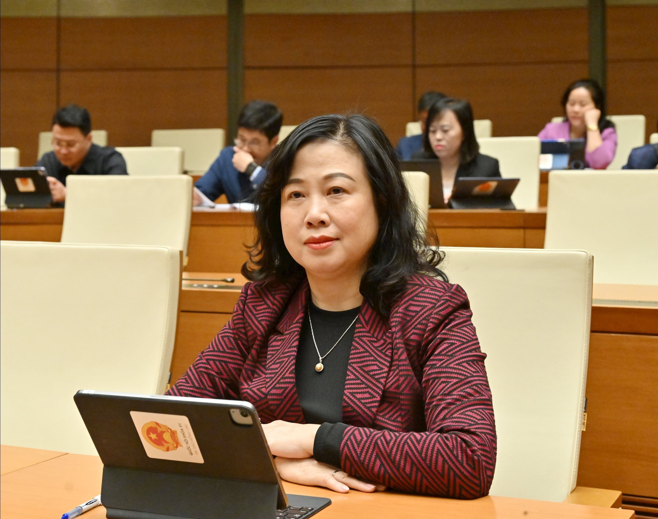 Các đại biểu tại phiên họpVQK_4048