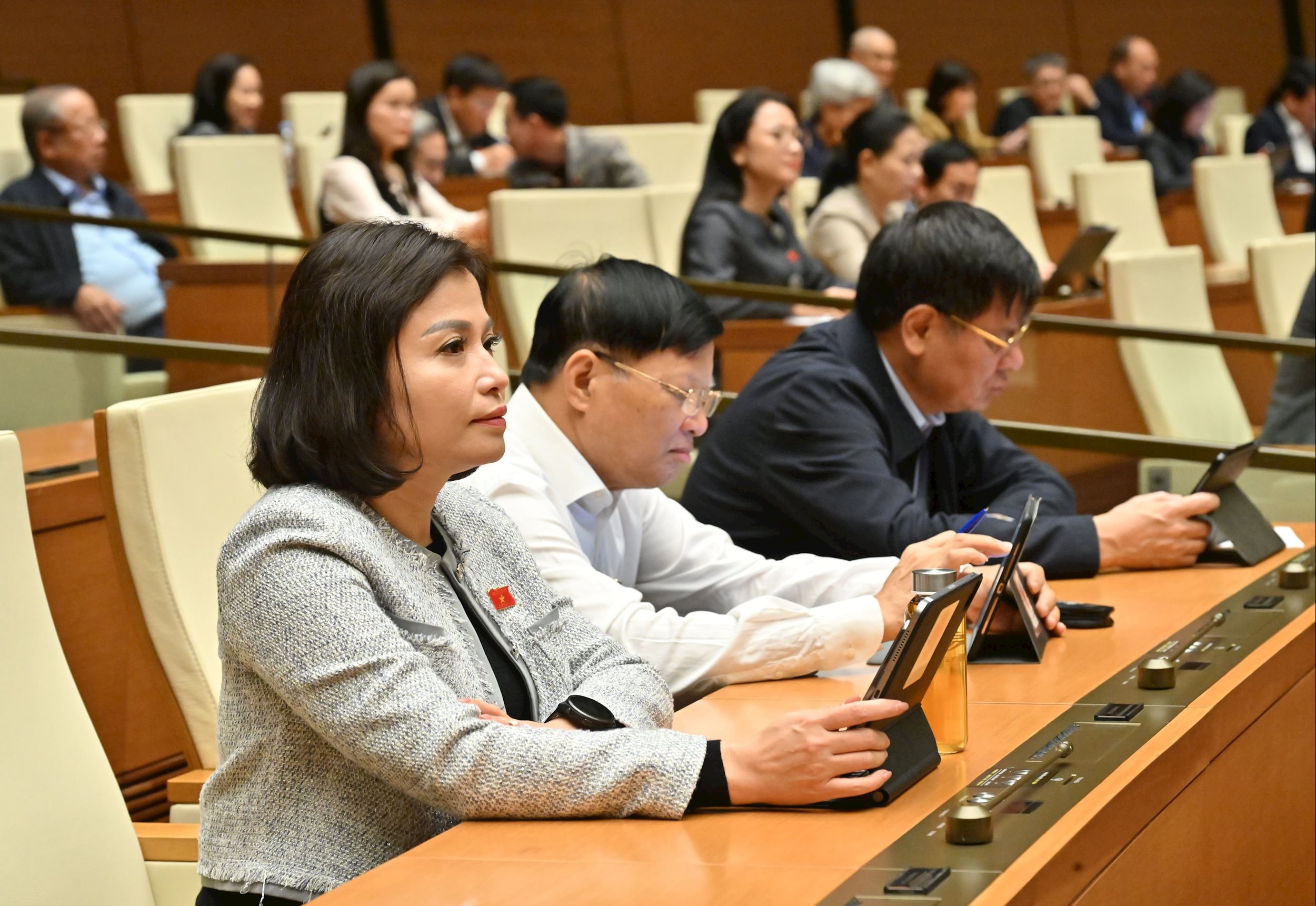 Các đại biểu tại phiên họpVQK_4053