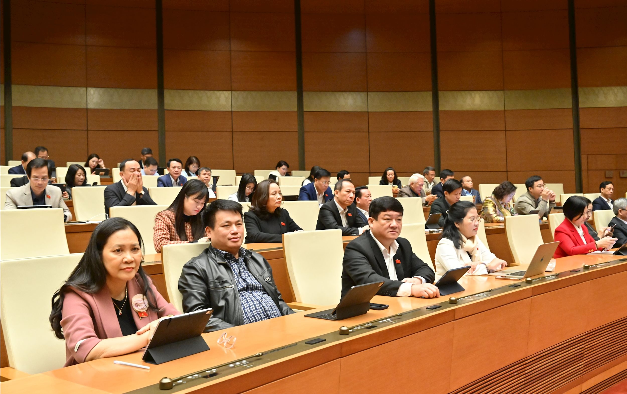 Các đại biểu tại phiên họpVQK_4087