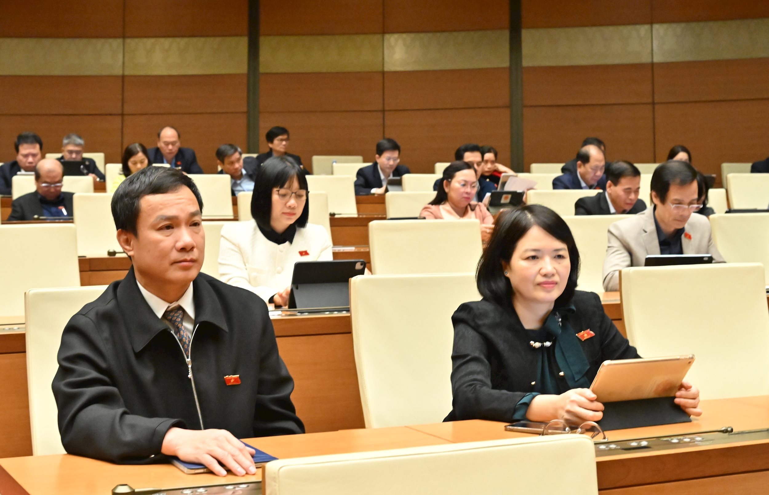 Các đại biểu tại phiên họpVQK_4091