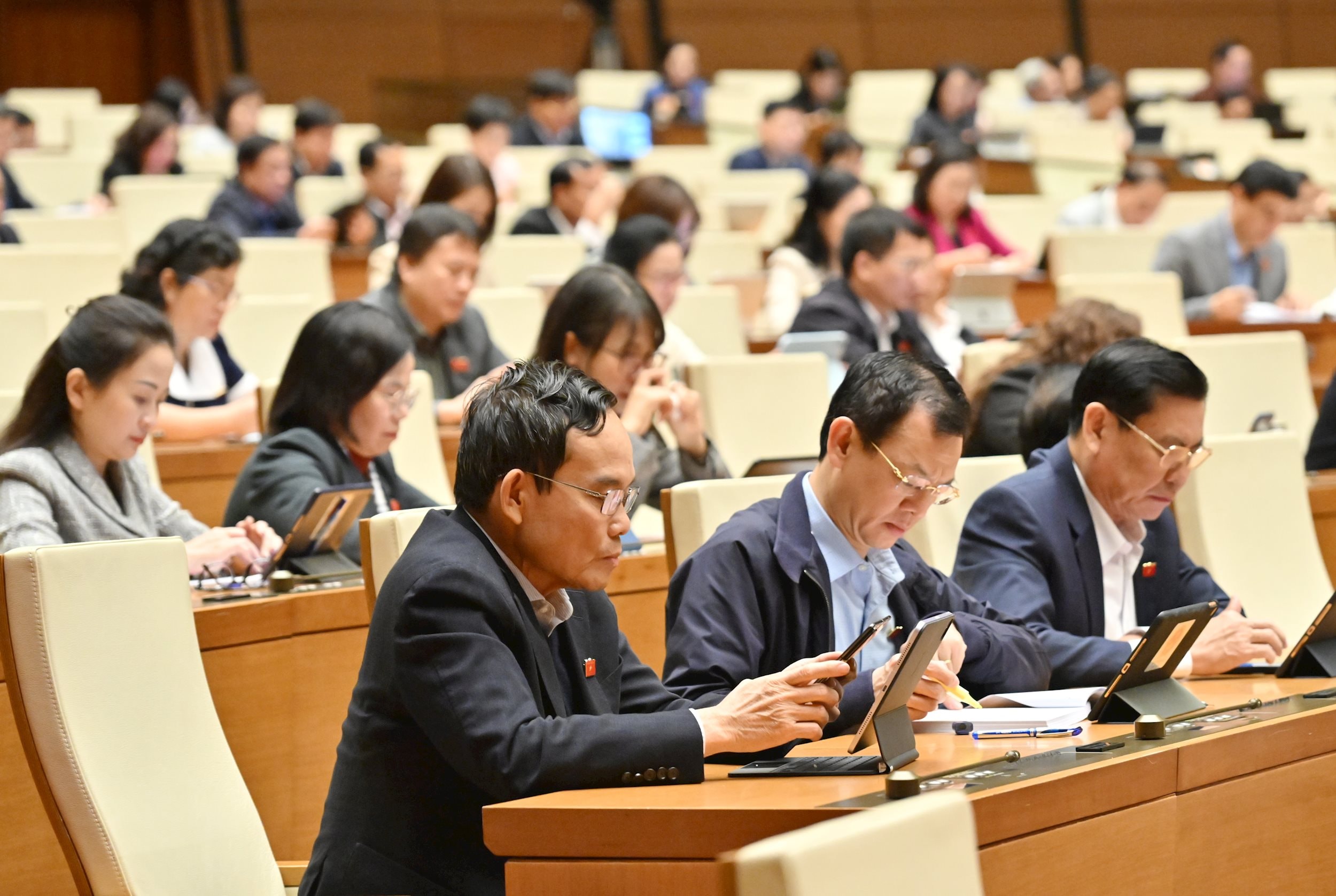 Các đại biểu tại phiên họpVQK_4950