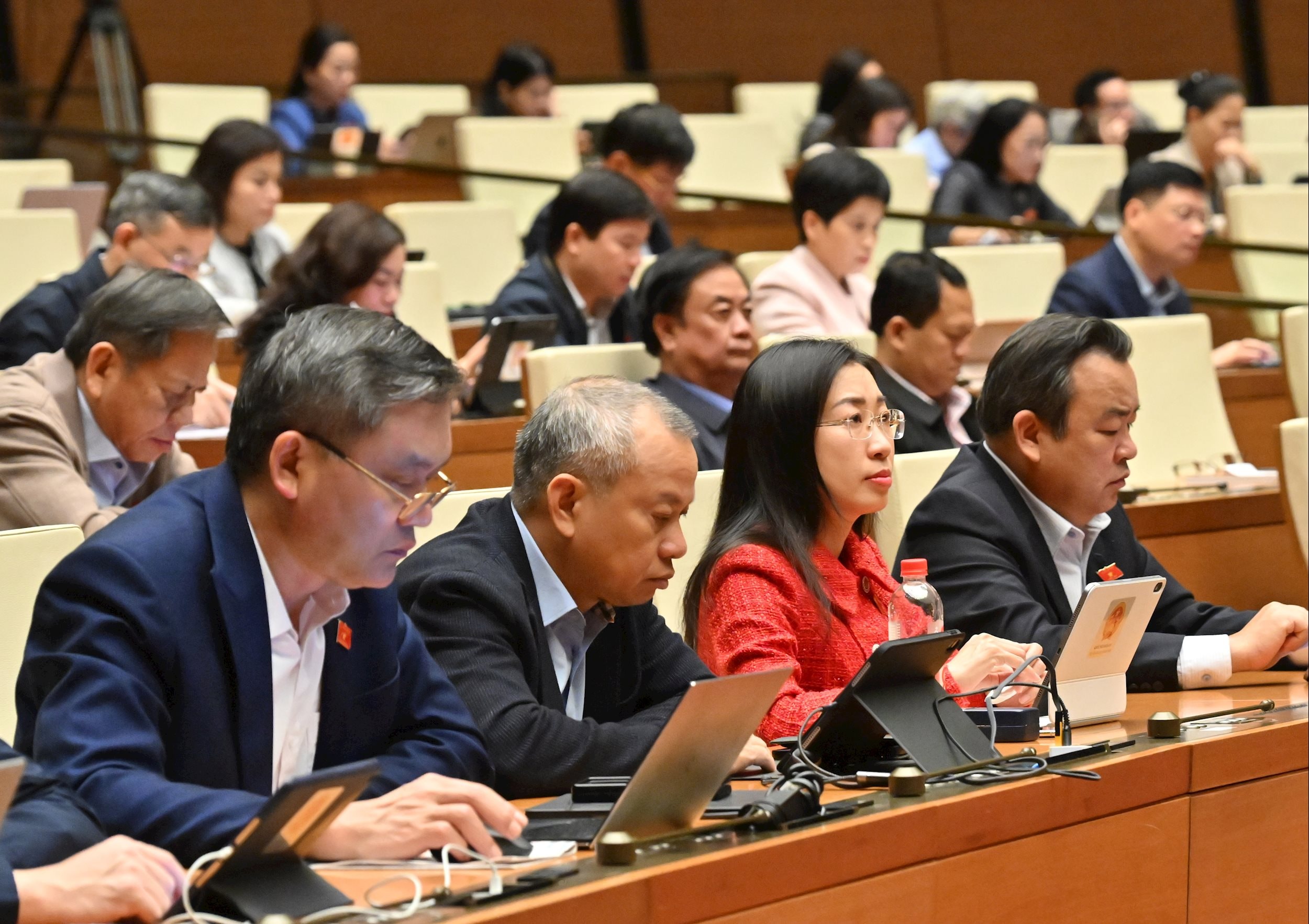 Các đại biểu tại phiên họpVQK_4956