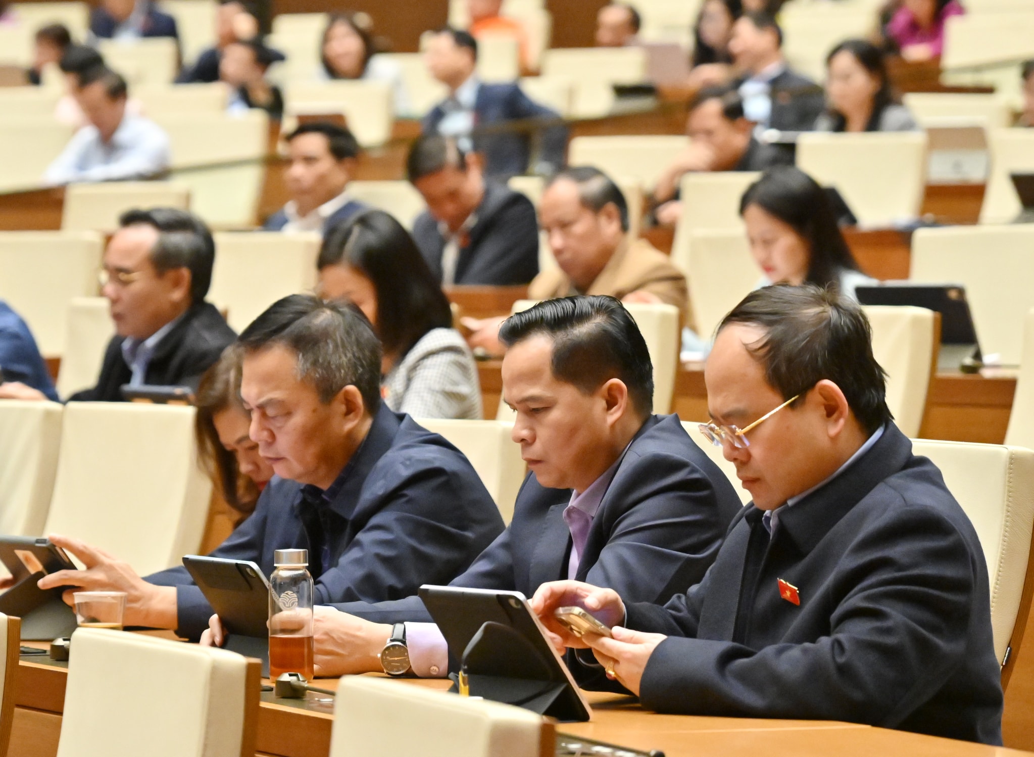 Các đại biểu tại phiên họpVQK_4976