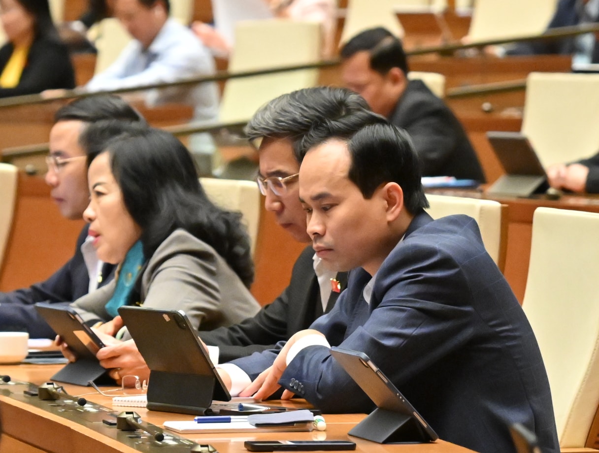Các đại biểu tại phiên họpVQK_4978