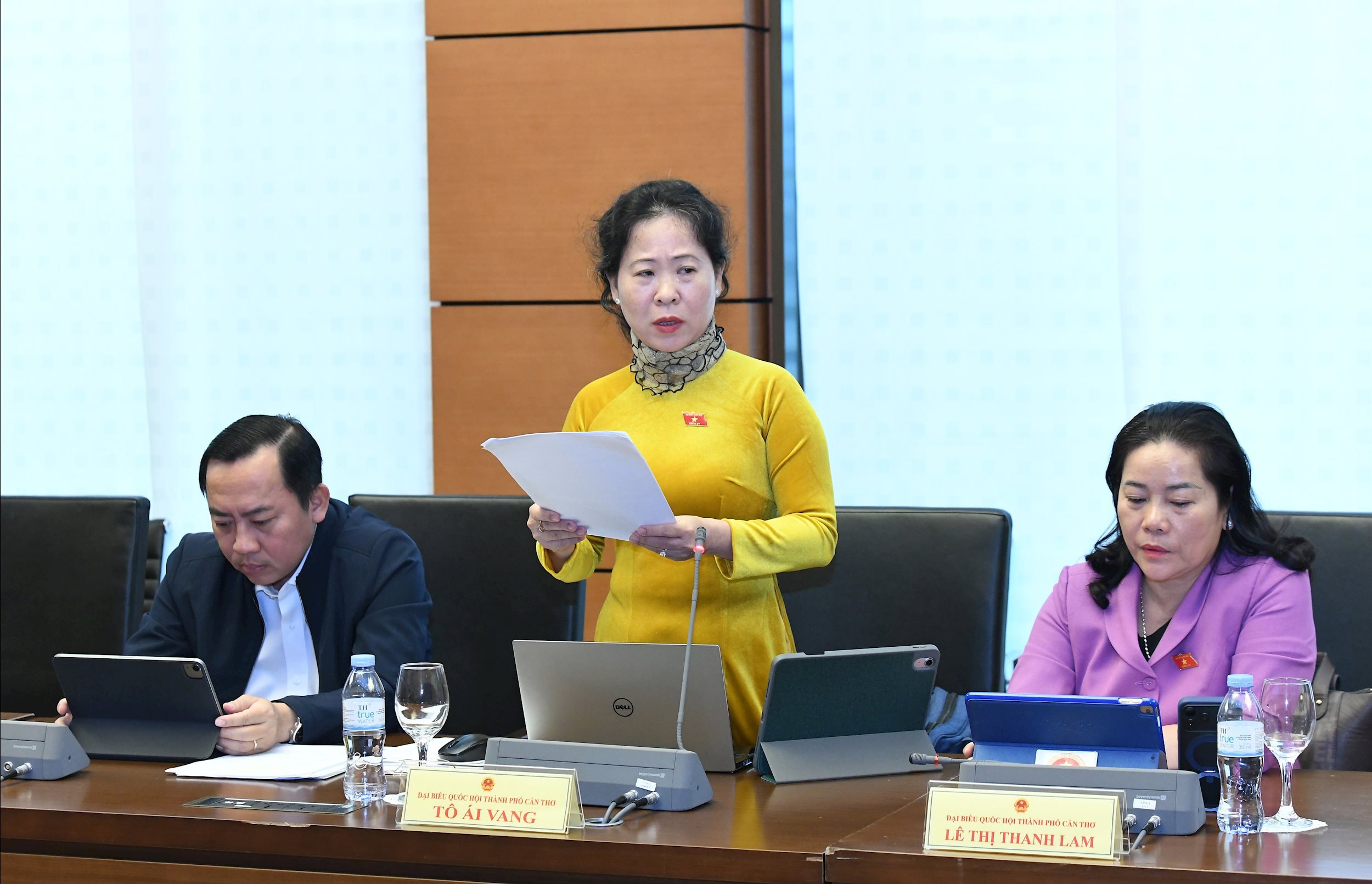 ĐB Tô Ái Vang, Đoàn ĐBQH Thành phố Cần Thơ.1