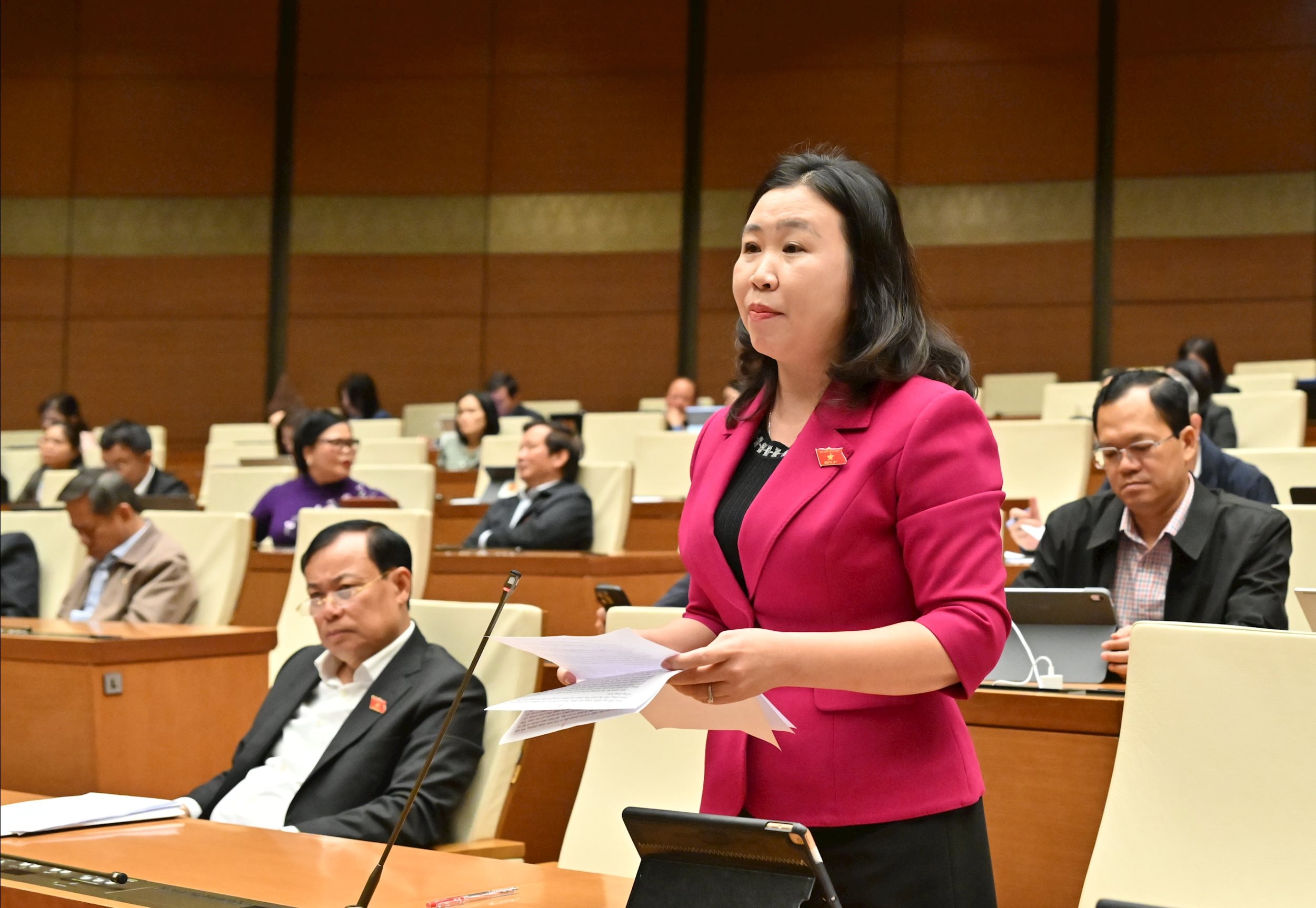 ĐBQH Lê Thị Song An (Tây Ninh)