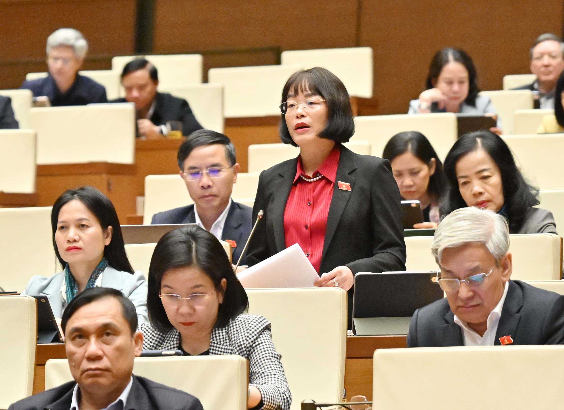 ĐBQH Nguyễn Thị Mai Phương (Gia Lai)