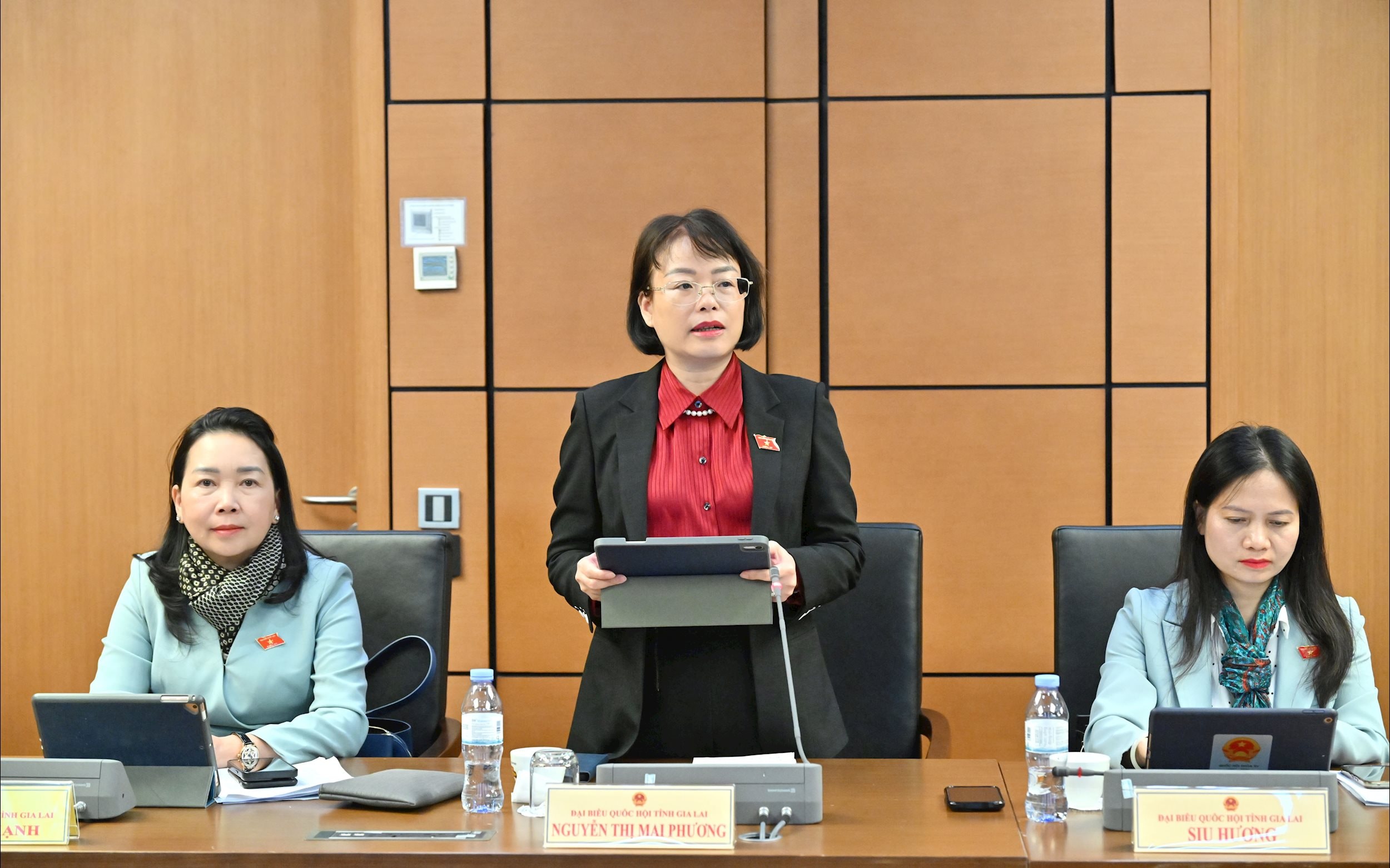 ĐBQH Nguyễn Thị Mai Phương (Gia Lai)VQK_4289