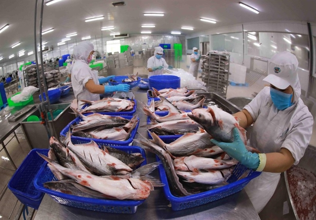 Swimming ahead with Việt Nam's pangasius exports