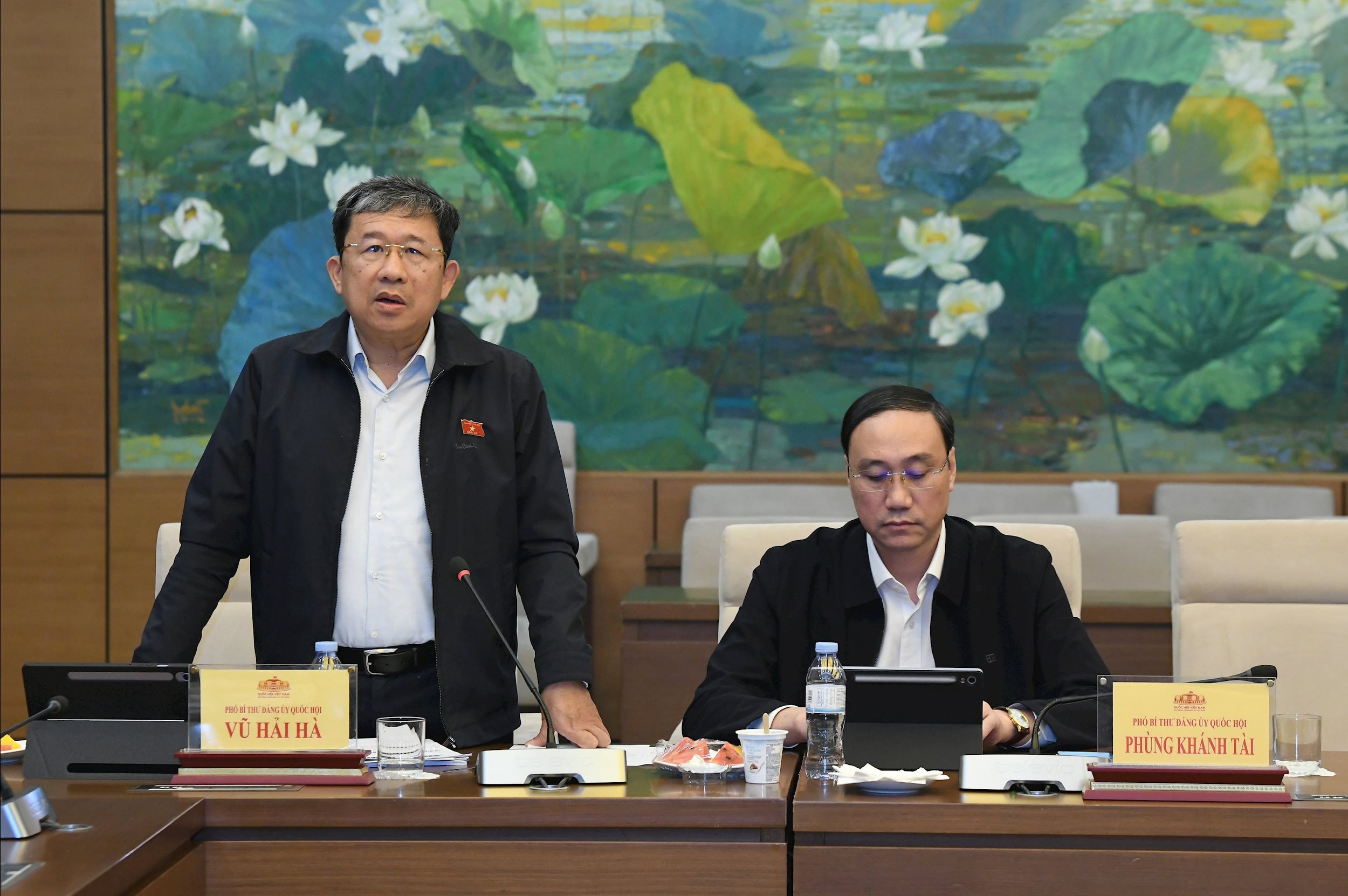 Phó bí thư Đảng uỷ Quốc hội Vũ Hải Hà