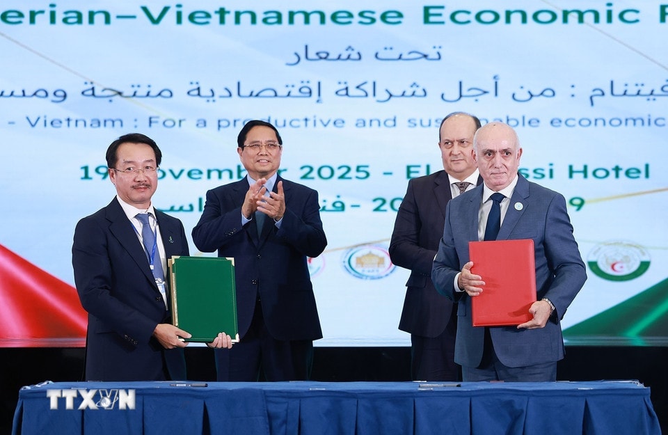 Thủ tướng Phạm Minh Chính và Thủ tướng Algeria Sifi Ghrieb chứng kiến ký kết giữa các doanh nghiệp Việt Nam và Algeria. (Ảnh: Dương Giang/TTXVN)