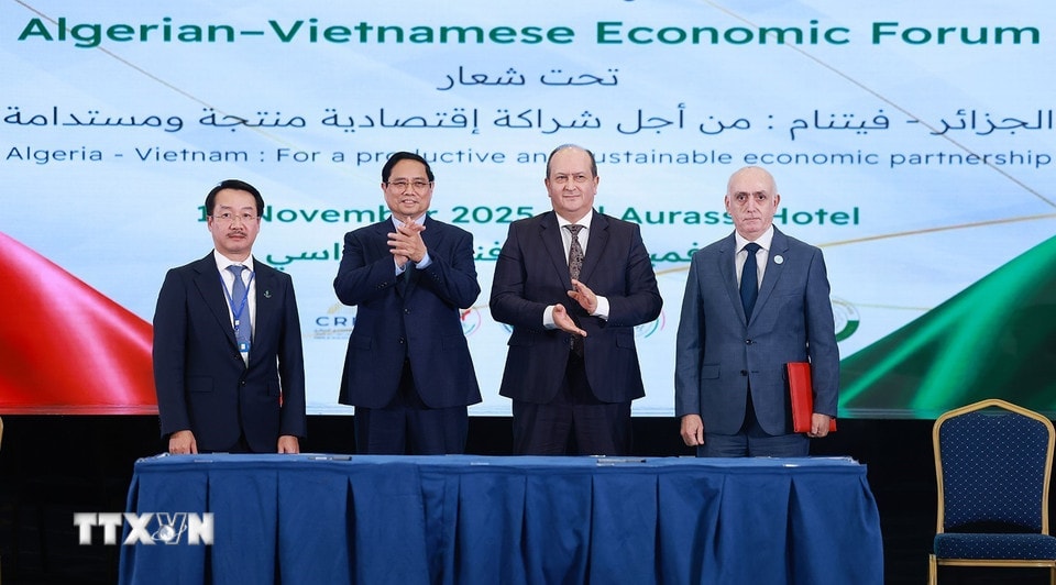 Thủ tướng Phạm Minh Chính và Thủ tướng Algeria Sifi Ghrieb chứng kiến ký kết giữa các doanh nghiệp Việt Nam và Algeria. (Ảnh: Dương Giang/TTXVN)
