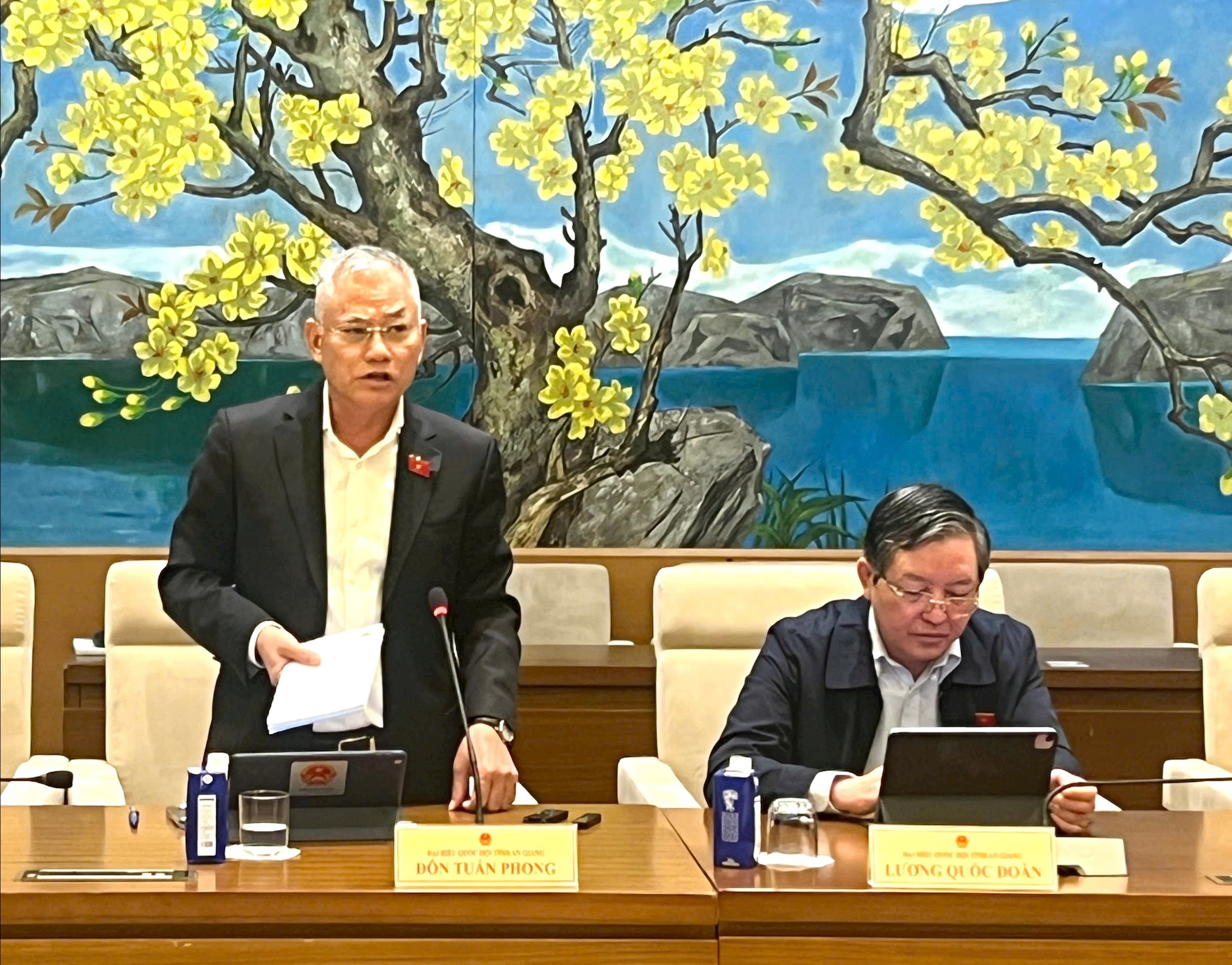 Nationalversammlungsdelegierter Don Tuan Phong (An Giang)