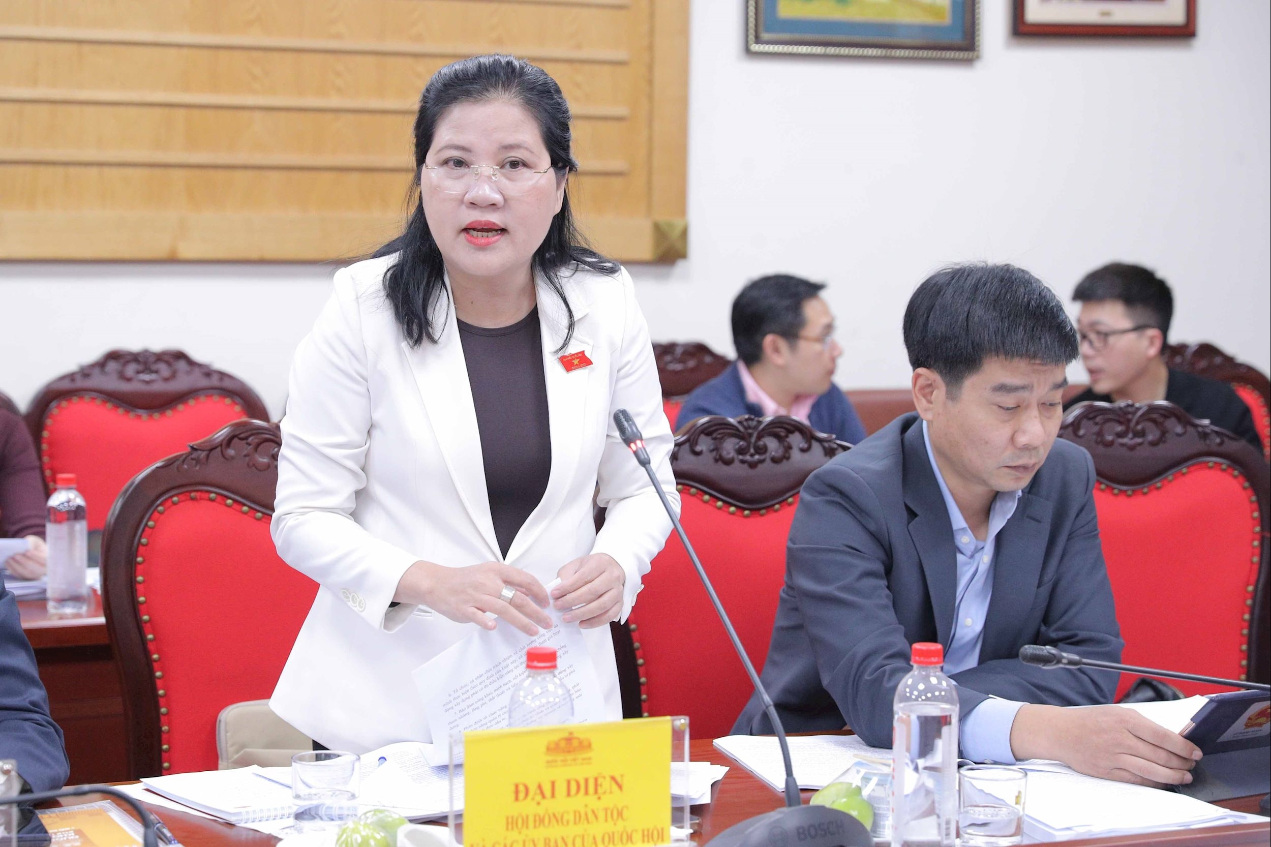 Vicevoorzitter van de Raad van Nationaliteiten Dinh Thi Phuong Lan