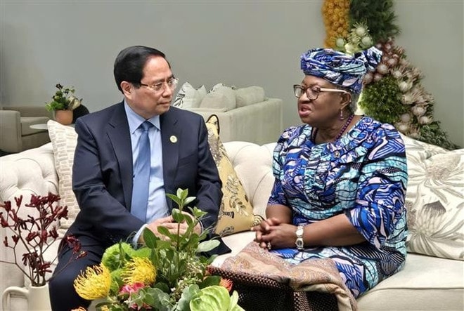 vna-potal-thu-tuong-pham-minh-chinh-gap-tong-giam-doc-to-chuc-thuong-mai-the-gioi-wto-8426315.jpg