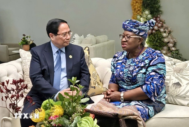 ttxvn-thu-tuong-pham-minh-chinh-gap-tong-giam-doc-wto.jpg