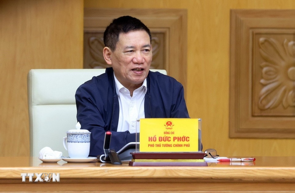 Phó Thủ tướng Hồ Đức Phớc phát biểu tại điểm cầu trụ sở Chính phủ. (Ảnh: Phạm Kiên/TTXVN)