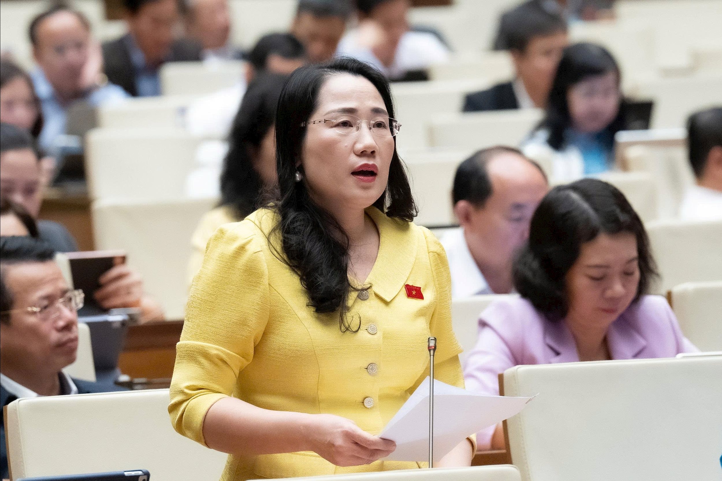 জাতীয় পরিষদের প্রতিনিধি নগুয়েন থি থুই (থাই নগুয়েন)