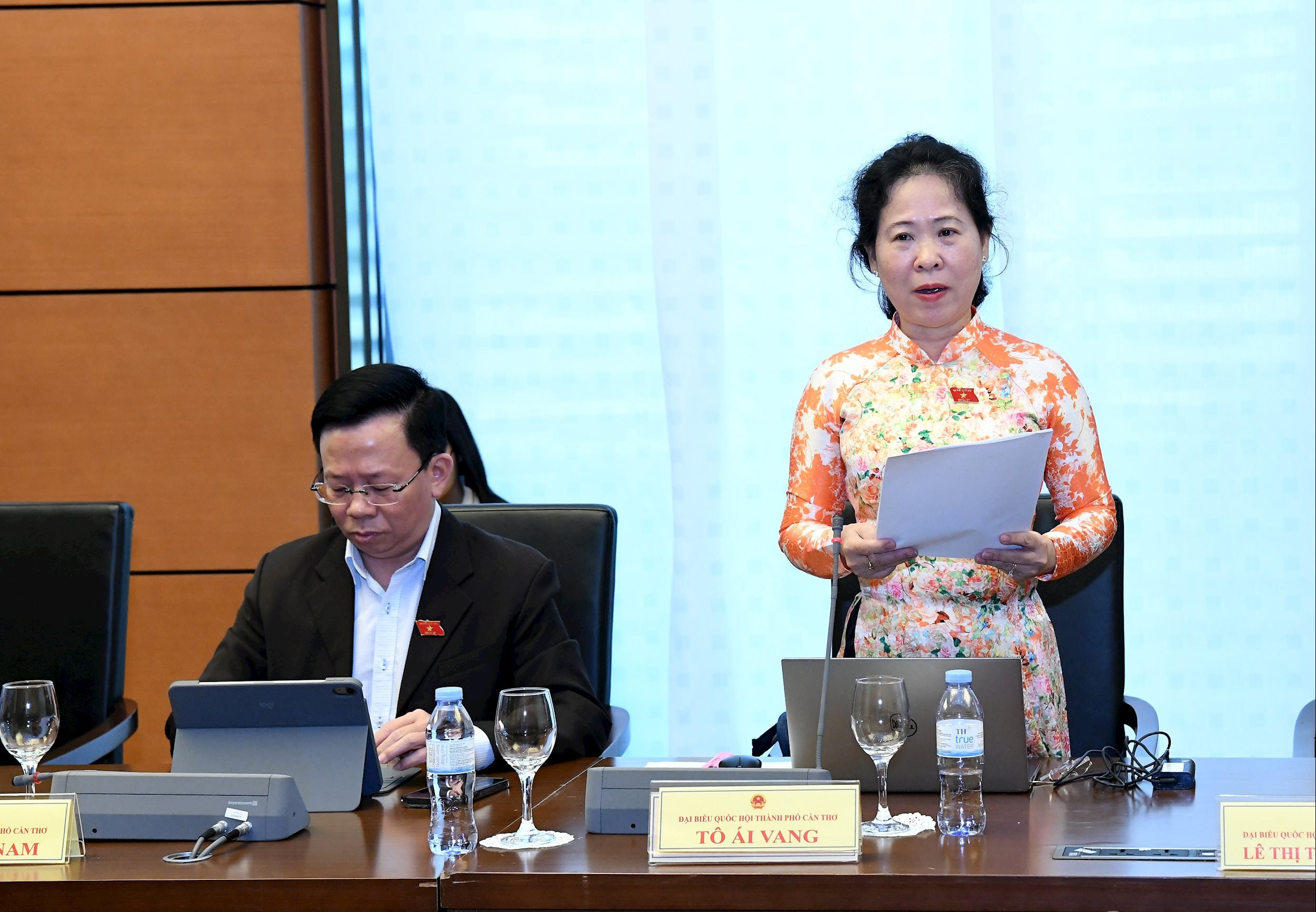 Đại biểu Tô Ái Vang, Đoàn Cần Thơ