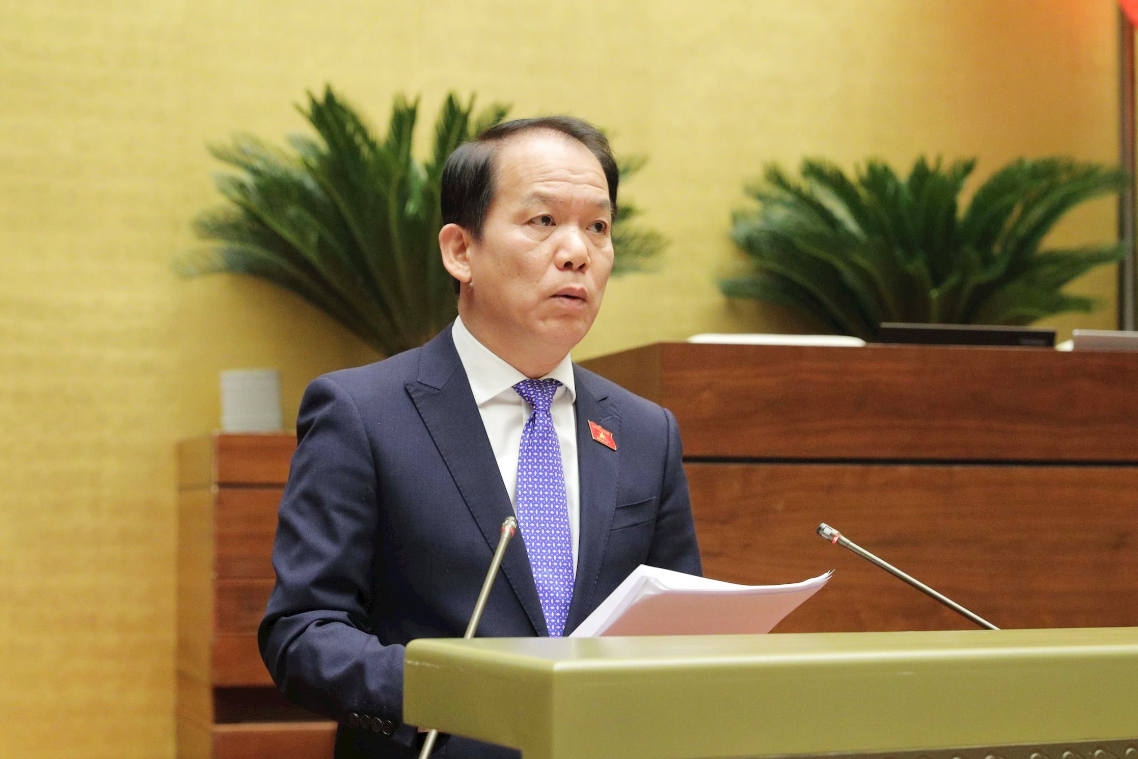 01.जेपीजी