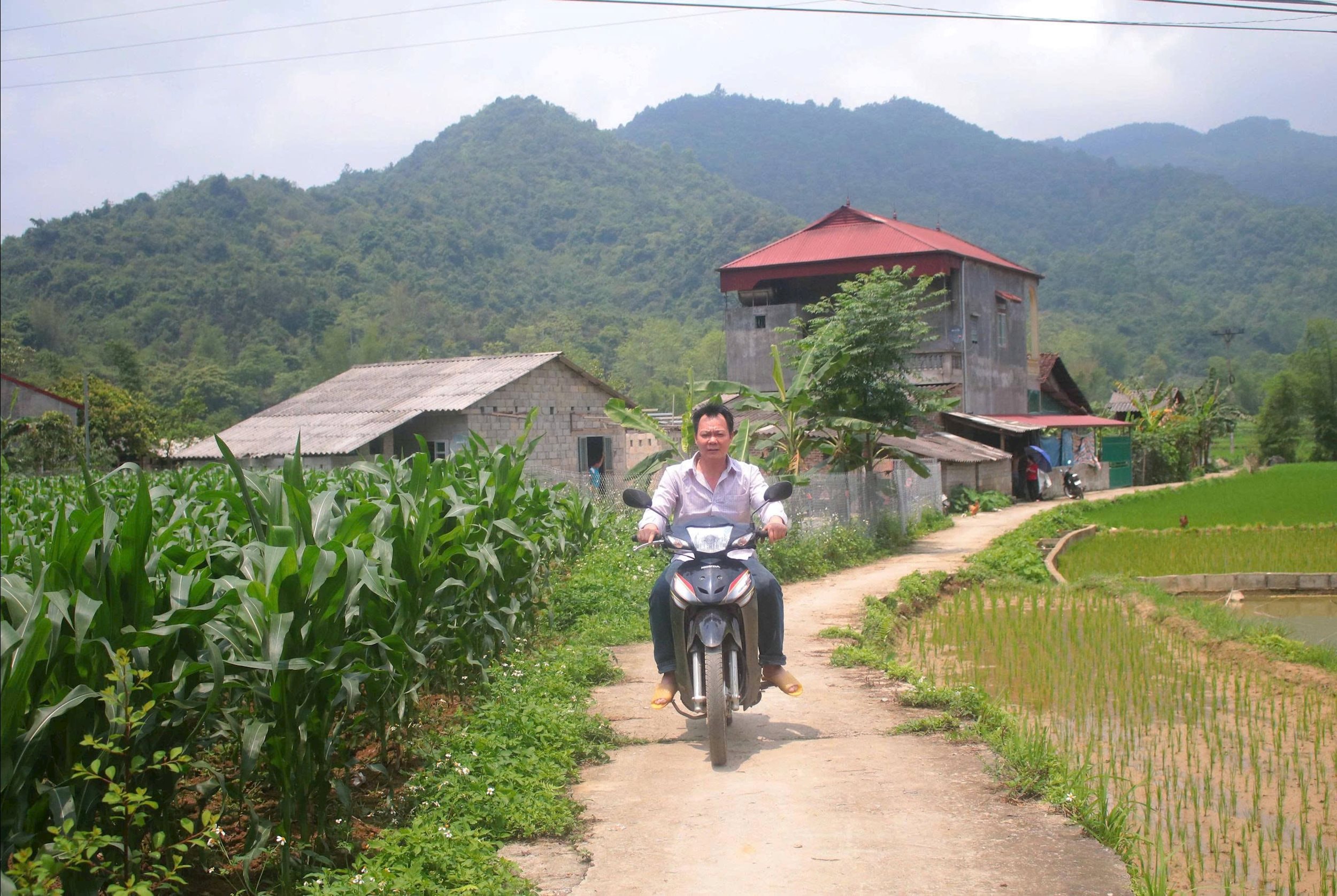 con duong khang trang