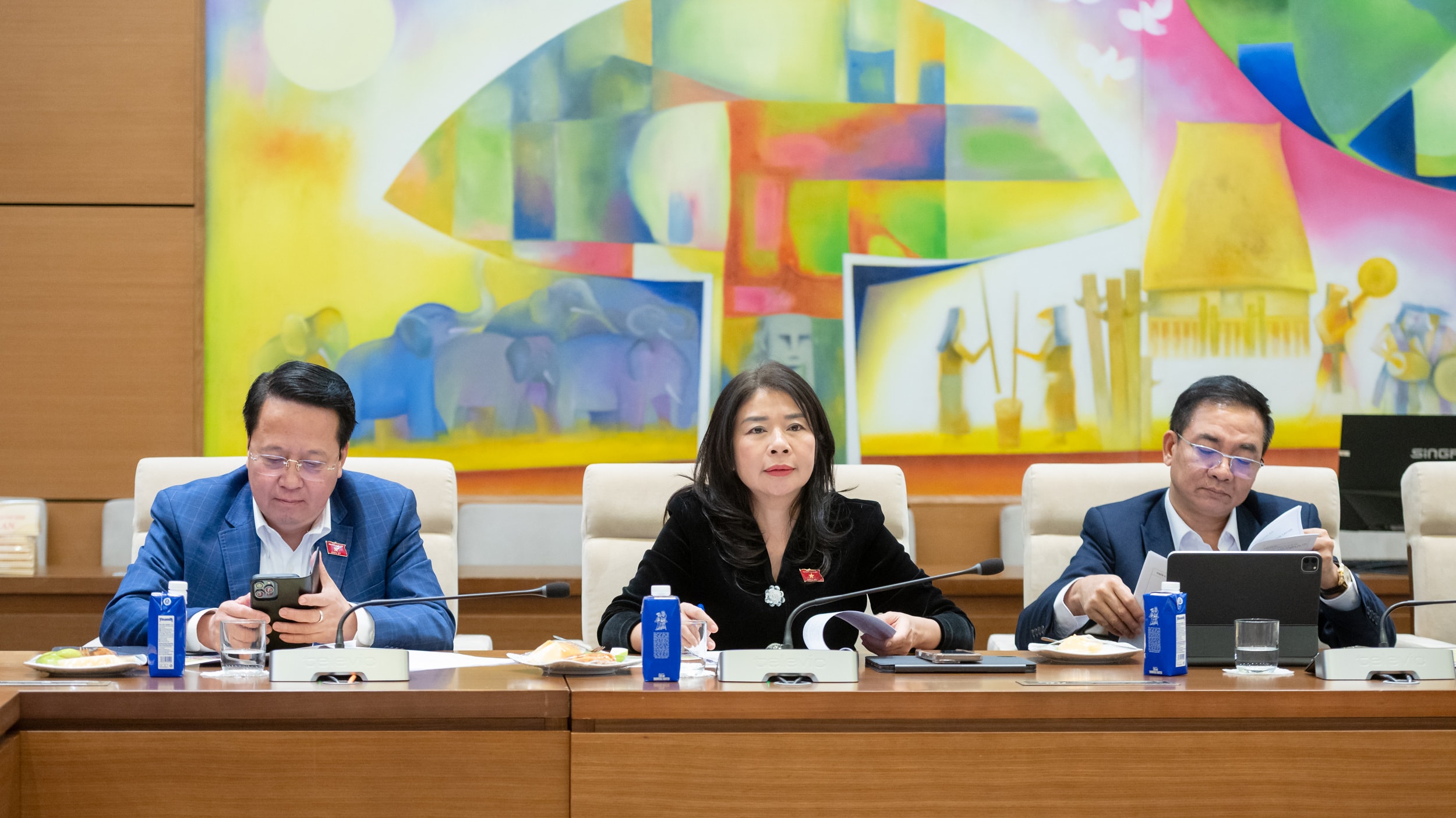 Afgevaardigden die de vergadering bijwonen