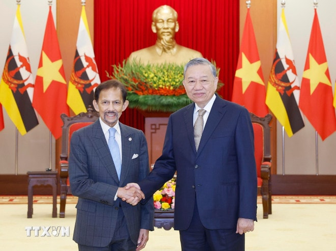 ttxvn-tong-bi-thu-to-lam-tiep-quoc-vuong-brunei-8442164-1.jpg