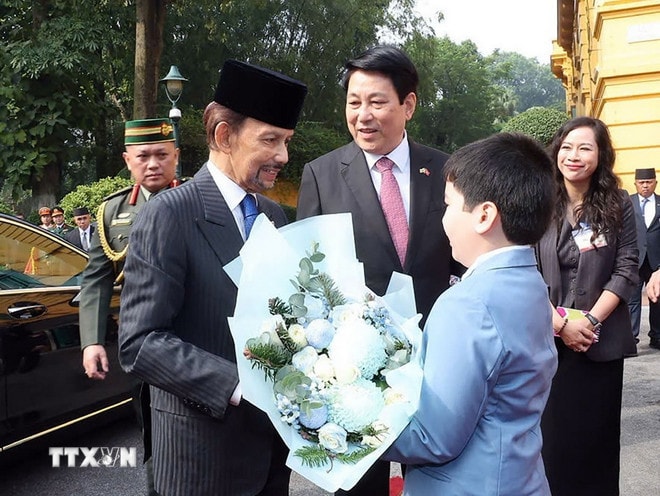 ttxvn-0112-chu-tich-nuoc-dong-quoc-vuong-brunei-1.jpg