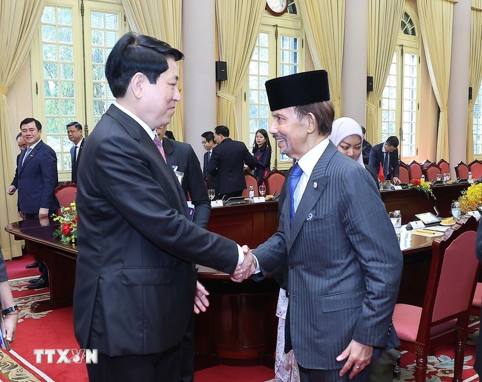 President Luong Cuong og Sultan av Brunei Darussalam Haji Hassanal Bolkiah etter samtaler. (Foto: Lam Khanh/VNA)