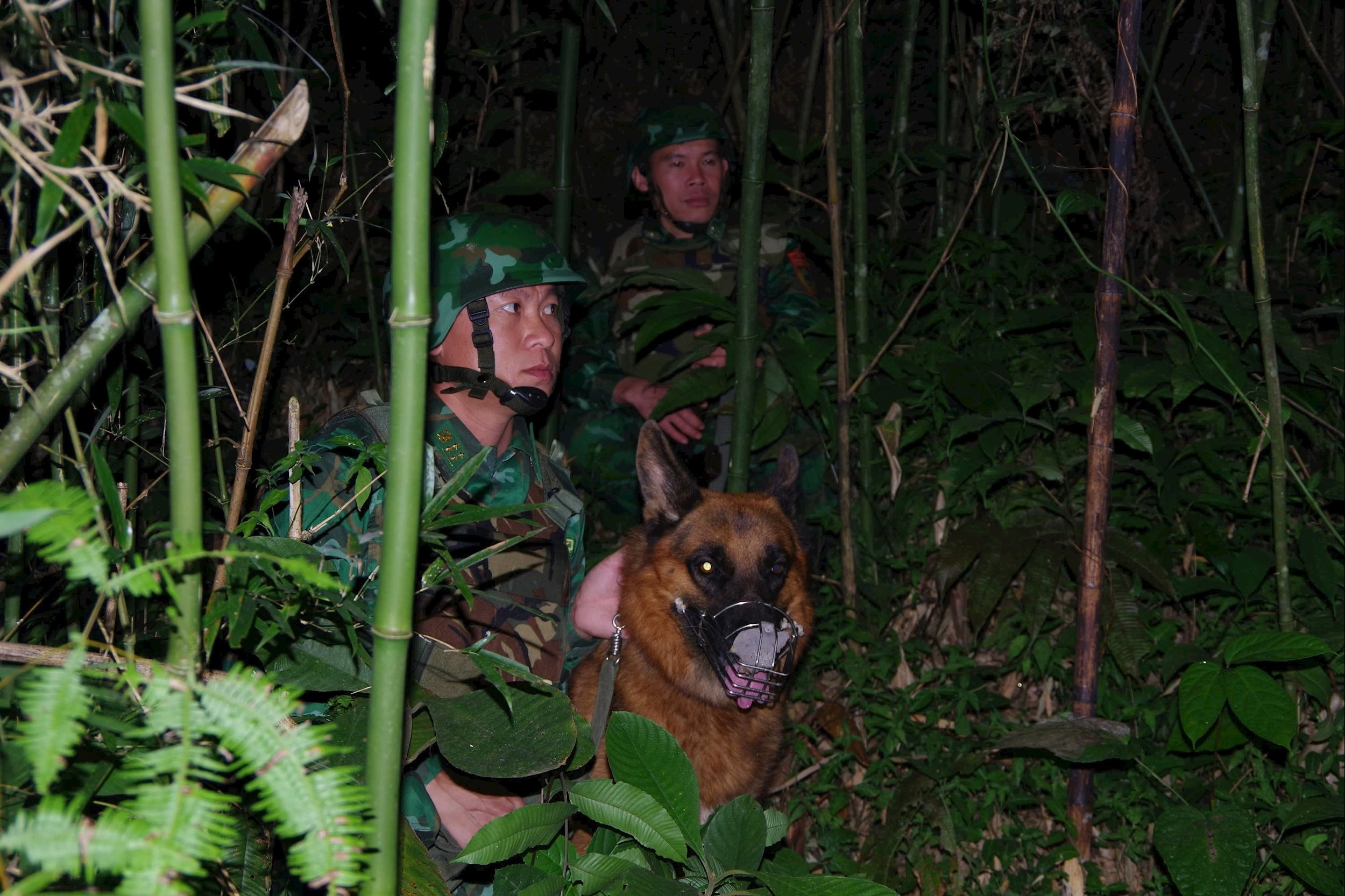 n1.jpg