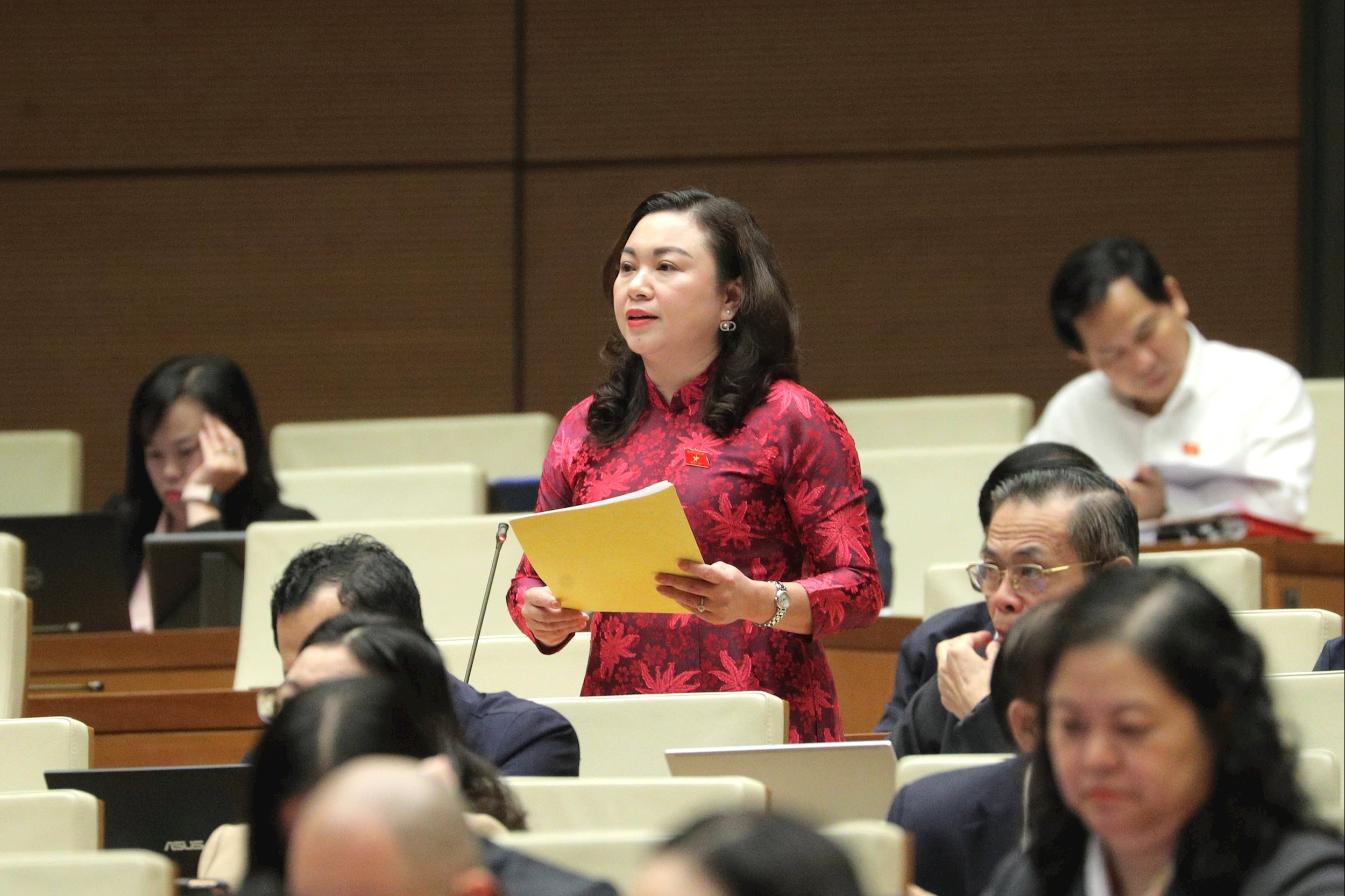 National Assembly Member Dang Bich Ngoc (Phu Tho) 1