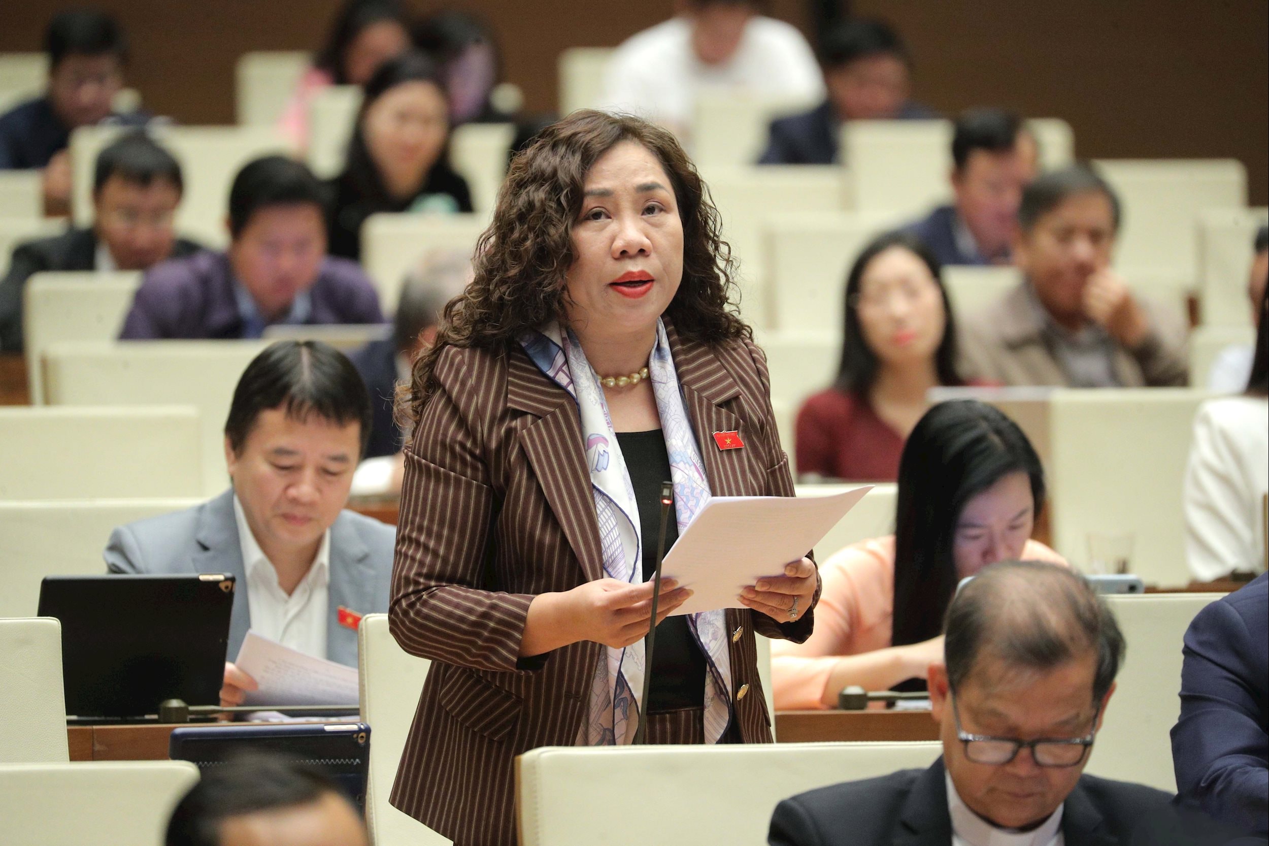 National Assembly Deputy Tran Thi Hien (Ninh Binh)