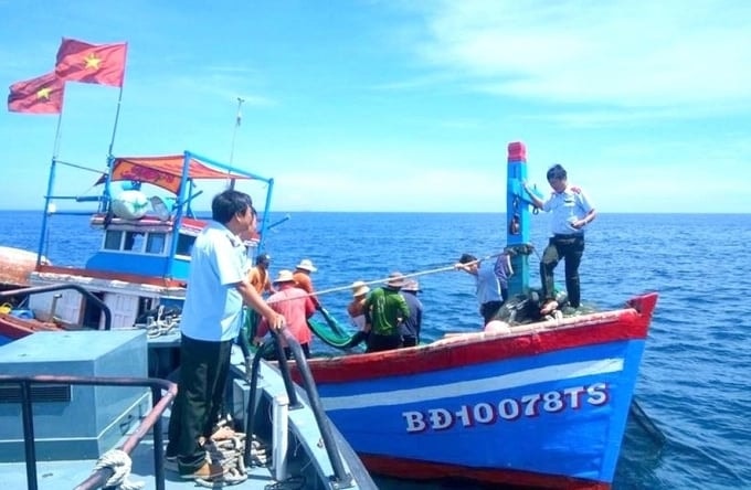 Remove IUU yellow card: 'EC is not difficult, we are easygoing' – Vietnam Fisheries Magazine