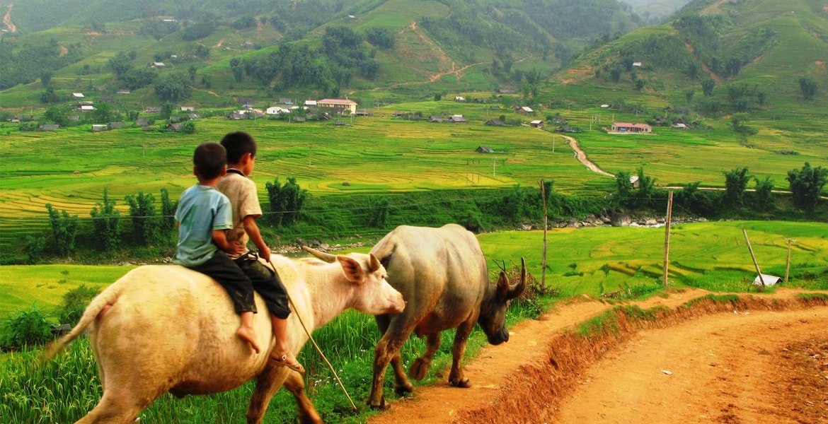 Sapa Cycling & Trekking Tour - 3 Days | Incredible Asia Journeys