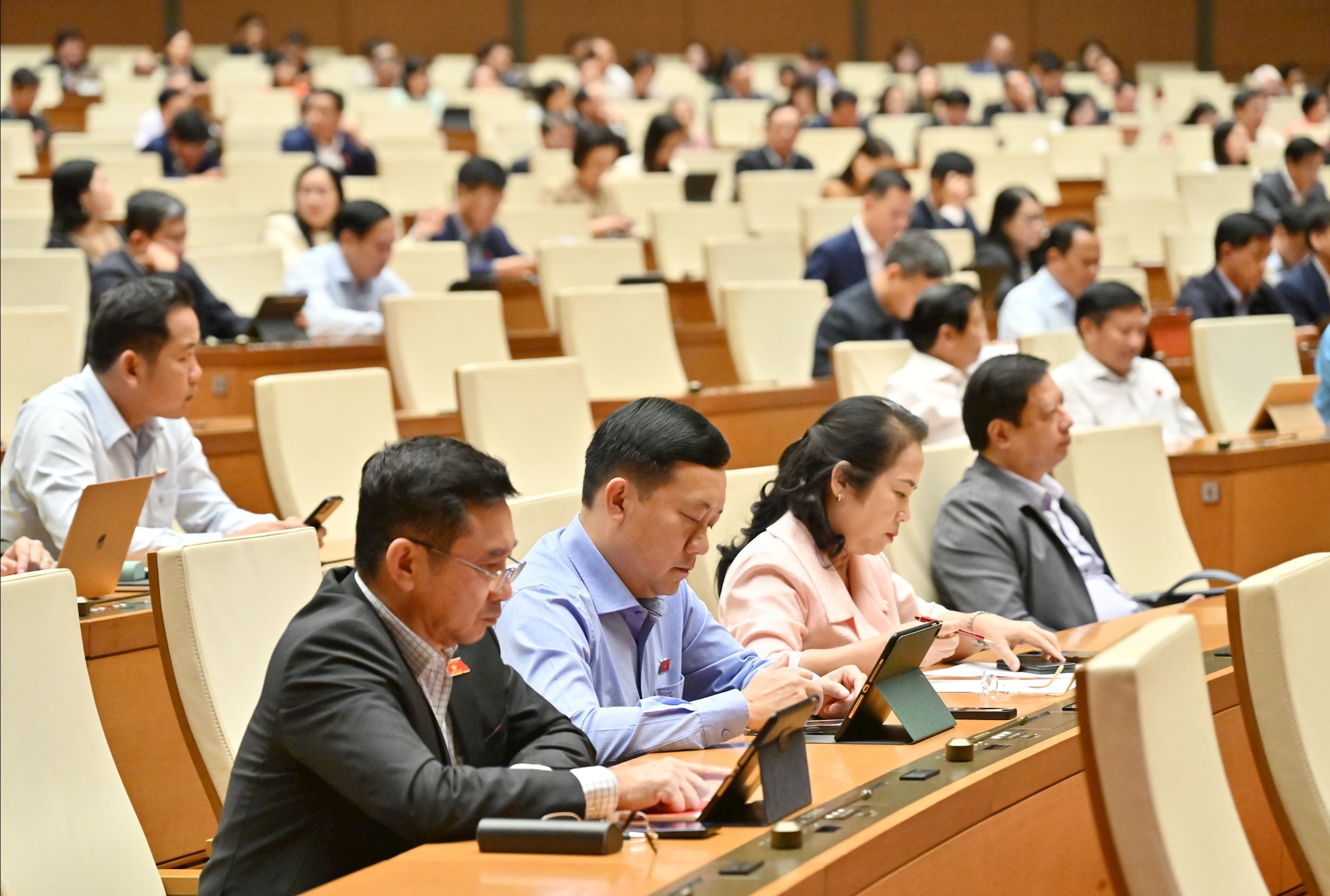 Các đại biểu tại phiên họpVQK_1385