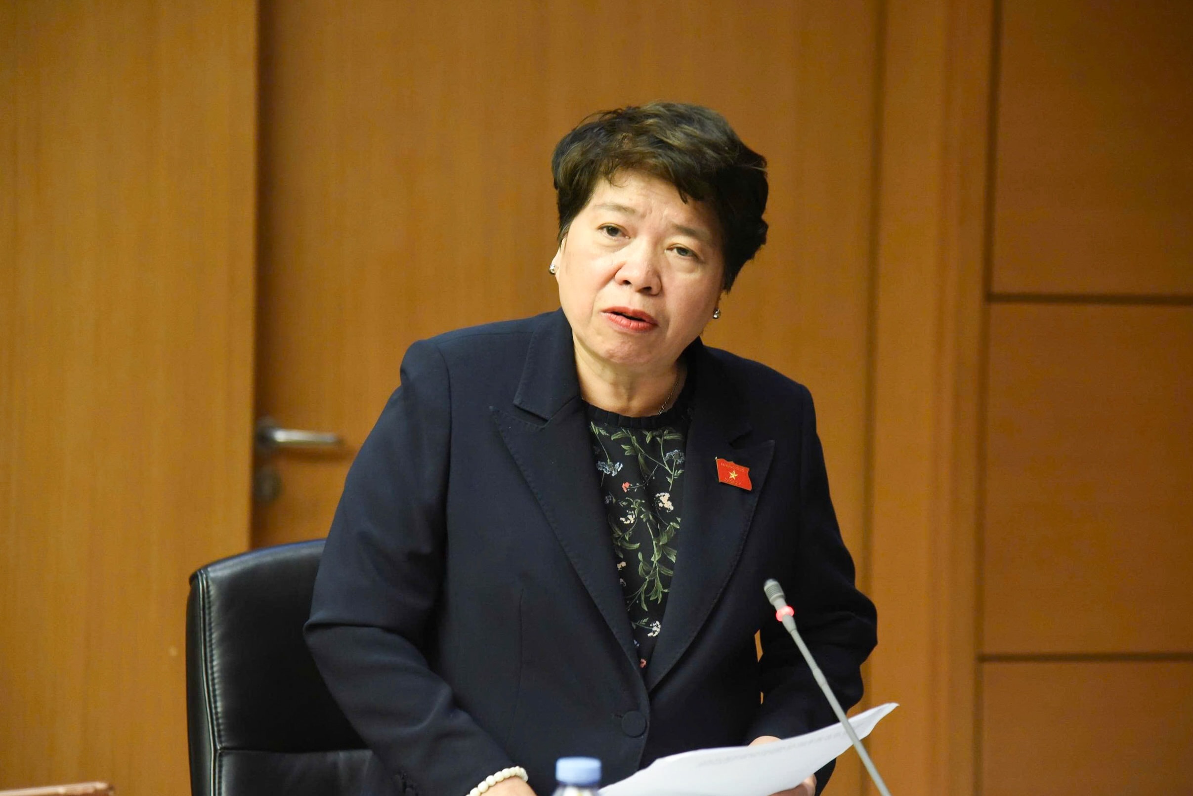 National Assembly Delegate Nguyen Thuy Anh (Phu Tho)