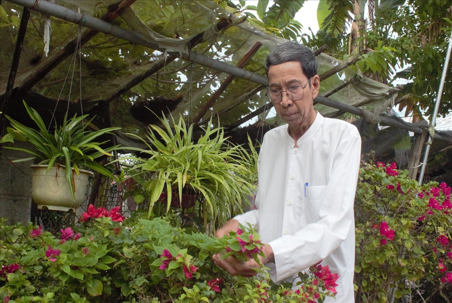 מר צ'או קים סה רי